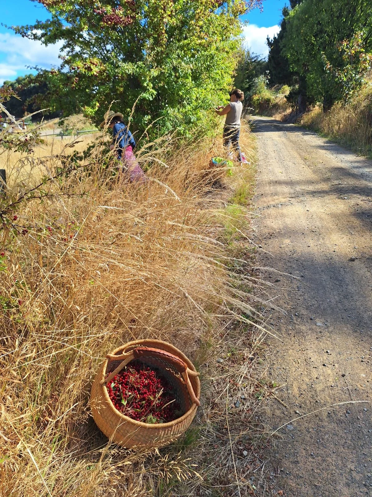 WhatsApp Image 2026-03-31 at 13.36.10 (1).jpeg