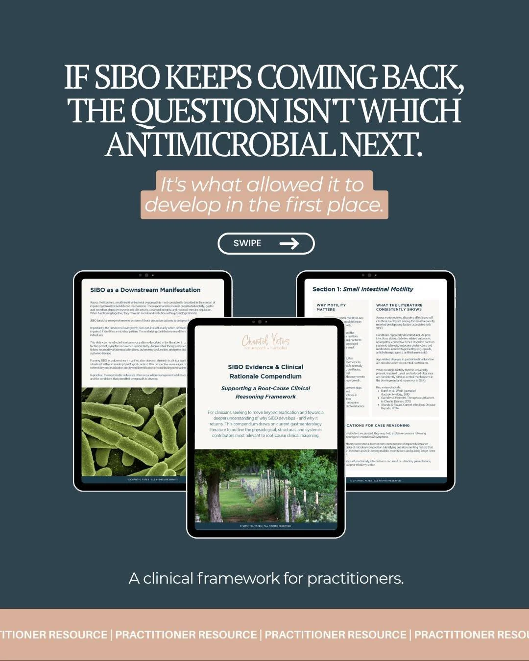 Comment TOOLKIT below to access my brand new SIBO practitioner resource👏🏼 

If SIBO keeps coming back, it is often not because the &ldquo;wrong&rdquo; antimicrobial was chosen.

It is because the factors that allowed overgrowth to develop in the fi
