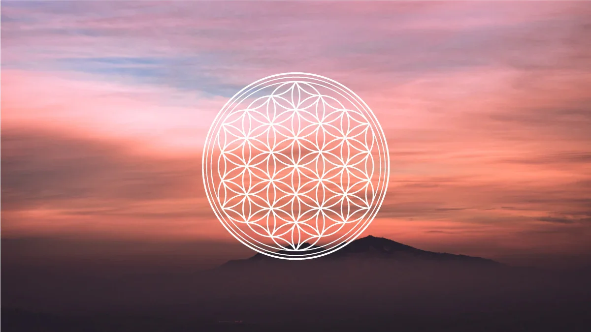 Cultivating Connection: What the NHAA Summit Gave Me