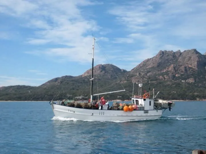 Why I No Longer Consider Farmed Salmon a Health Food (Part 1)