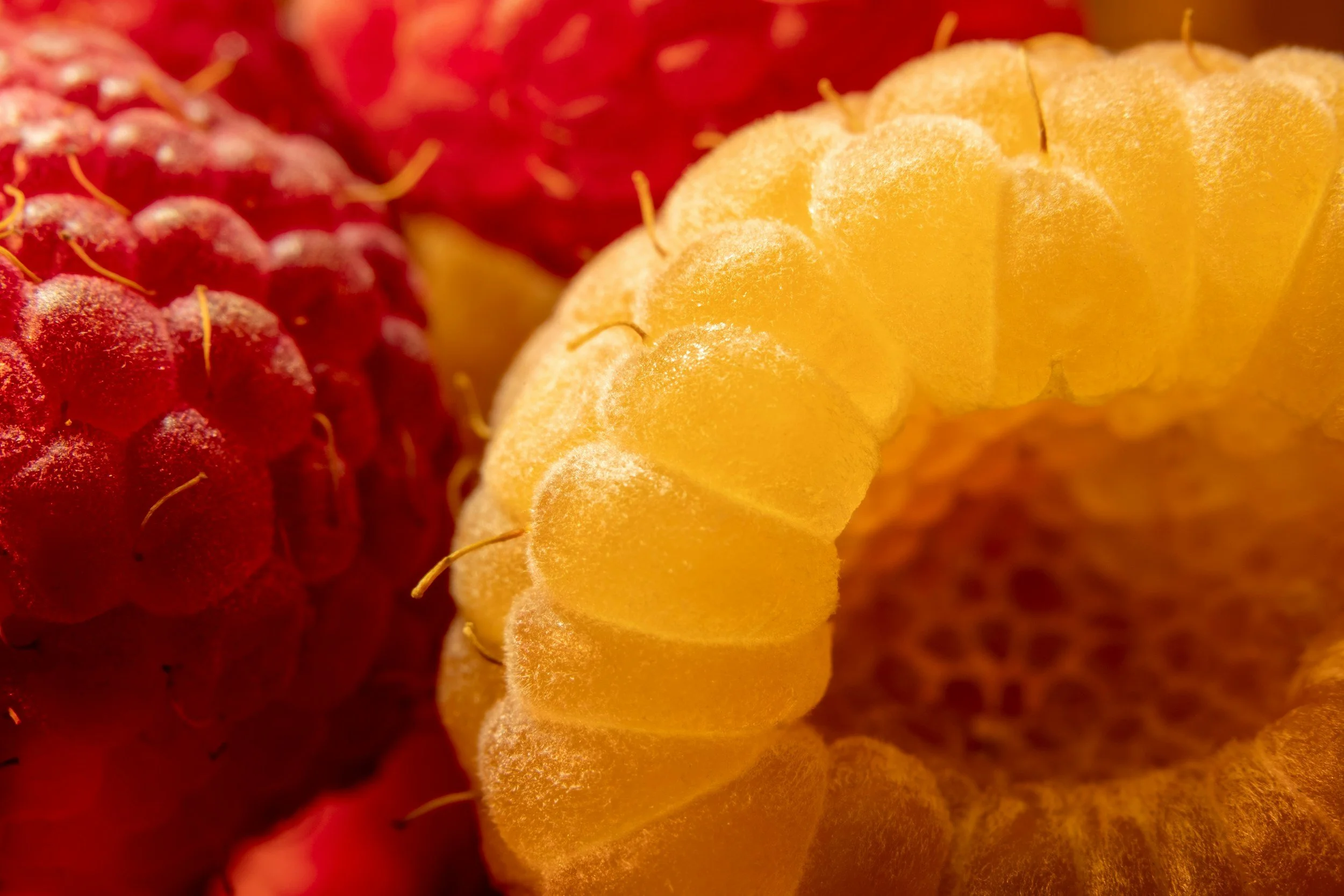 Metabolic Health and the Microbiome