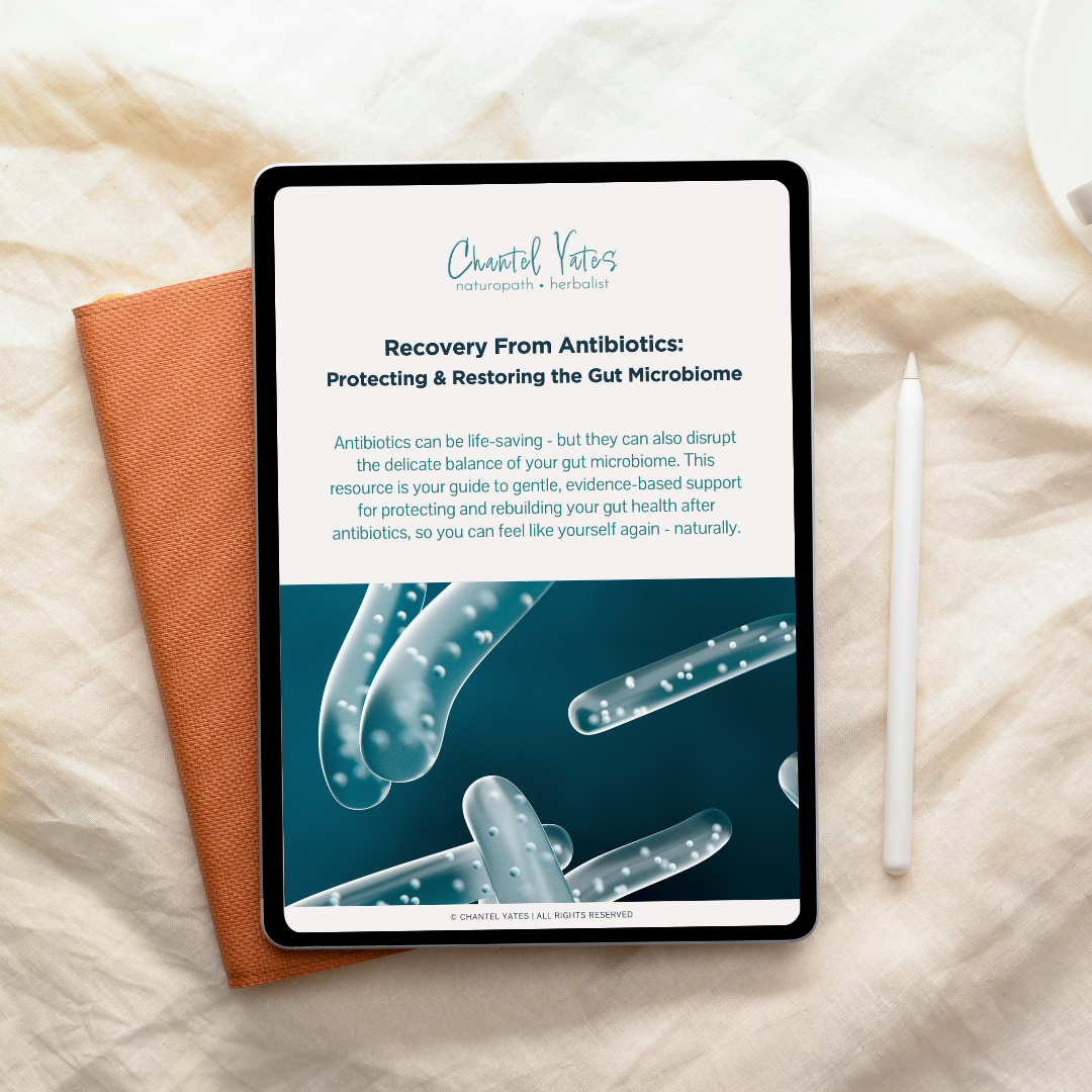 Antibiotic Recovery Download SS MOCKUP.png