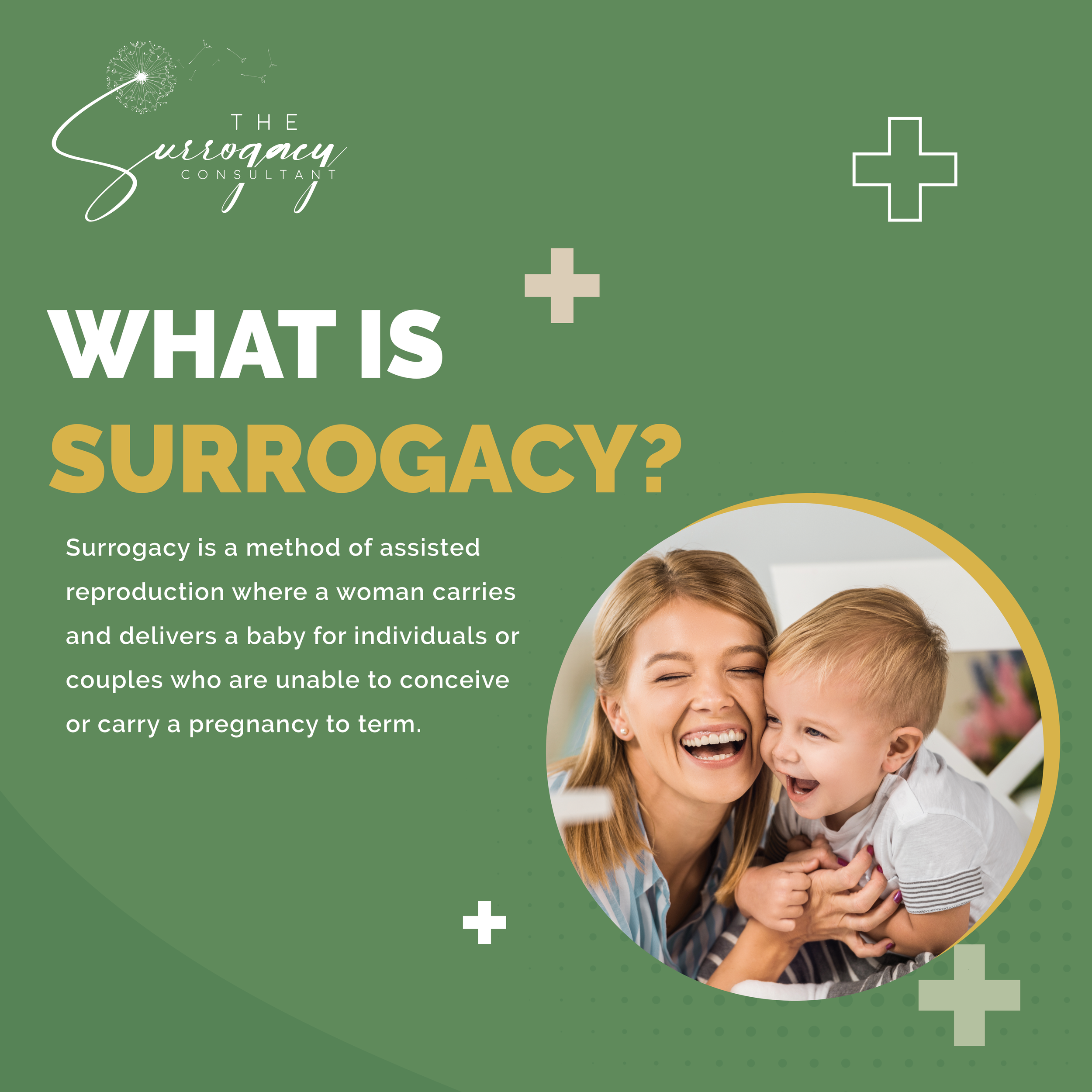 What is Surrogacy FEED.png