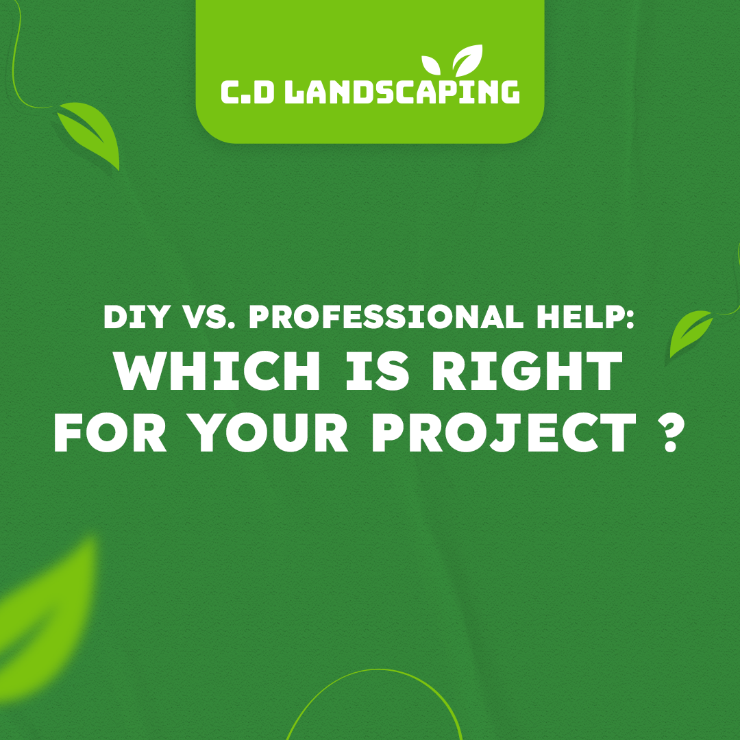 GrowthBoss-June4th-CD-DIYvs - 97804.ProfessionalHelpWhichIsRightforYourProject-1080x1080-CE-31-MAY-2024-V1-R-SLIDE1.png