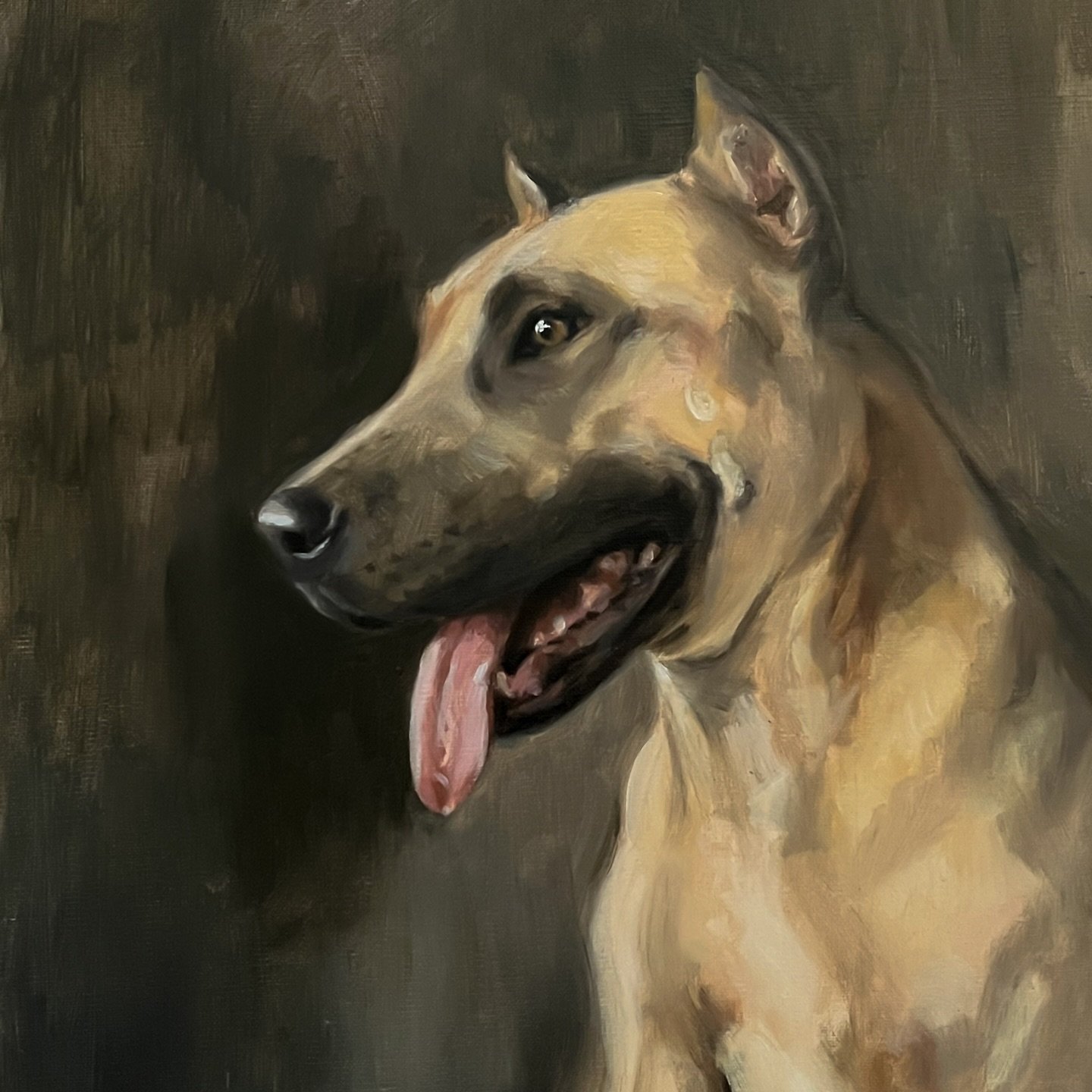 A crop of the majestic Xena 💛

11x14&rdquo;
Oil on linen panel 
.
.
.
.
.
#petportraitsofinstagram #pitbullnation #oilpaintersofamerica #losangelesartist #commissionartist #petportraitcommission
