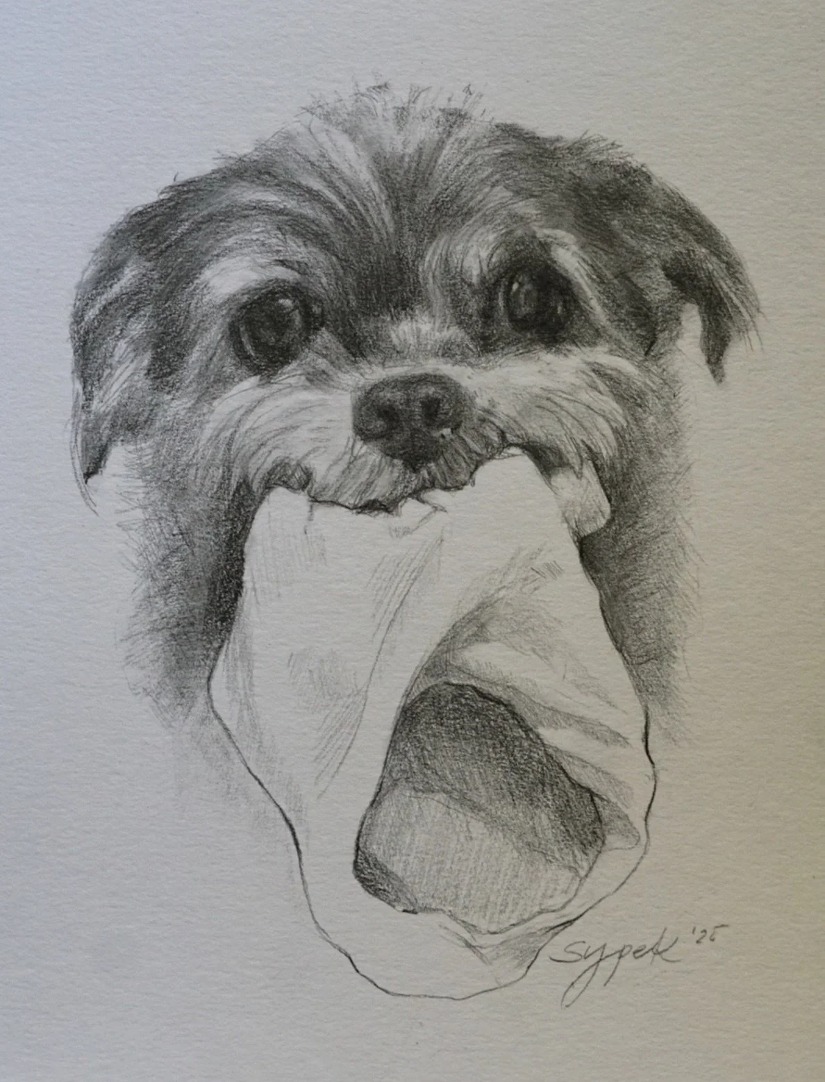 A recent Christmas commission of a gone but never forgotten family member named Sake Bomb ❤️. Memorial commissions hit a little harder these days while we adjust to life without our sweet Chuy. ❤️💔❤️

#memorialcommission #petportrait #doglover🐶