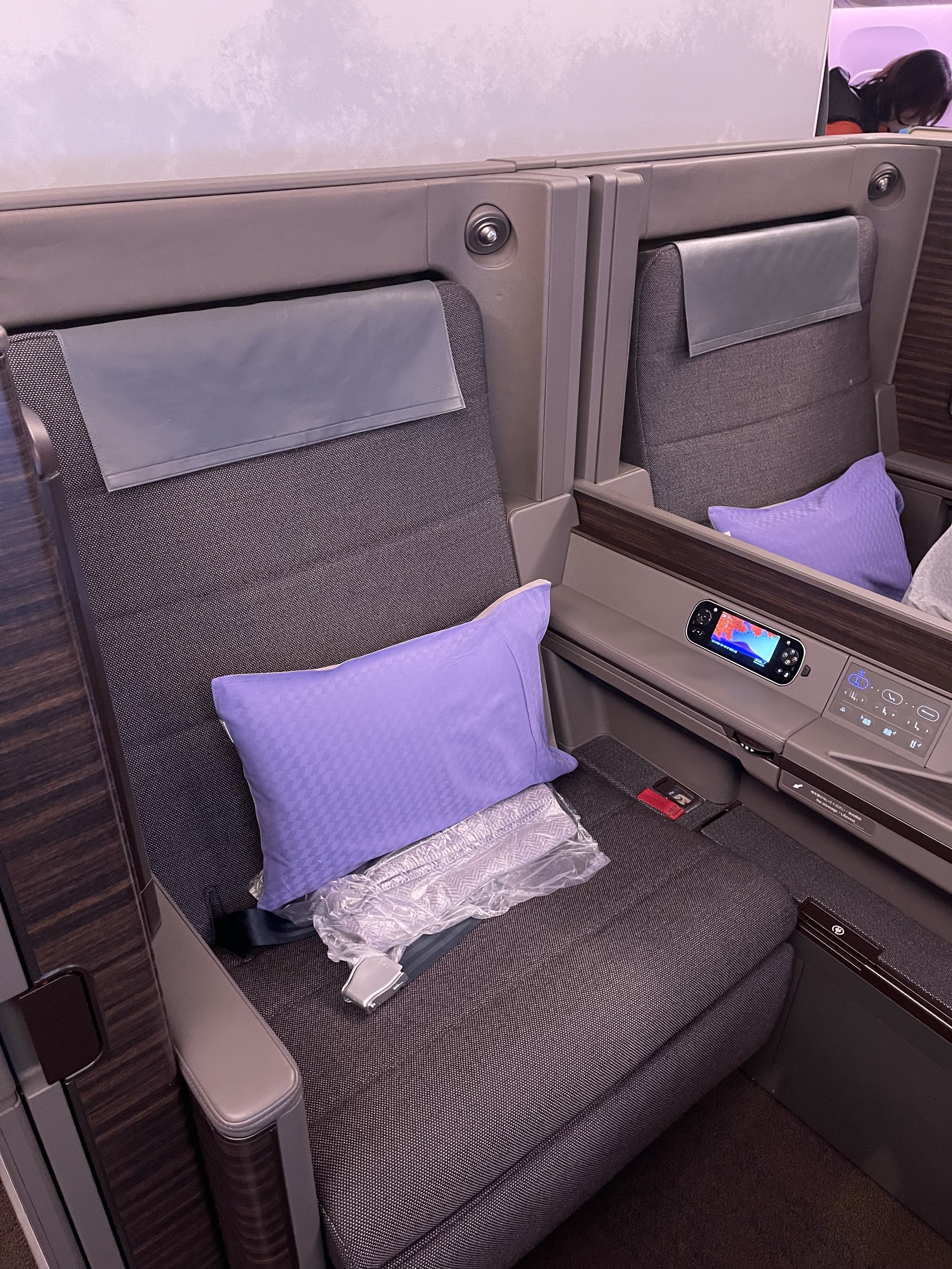 ana seat.jpg