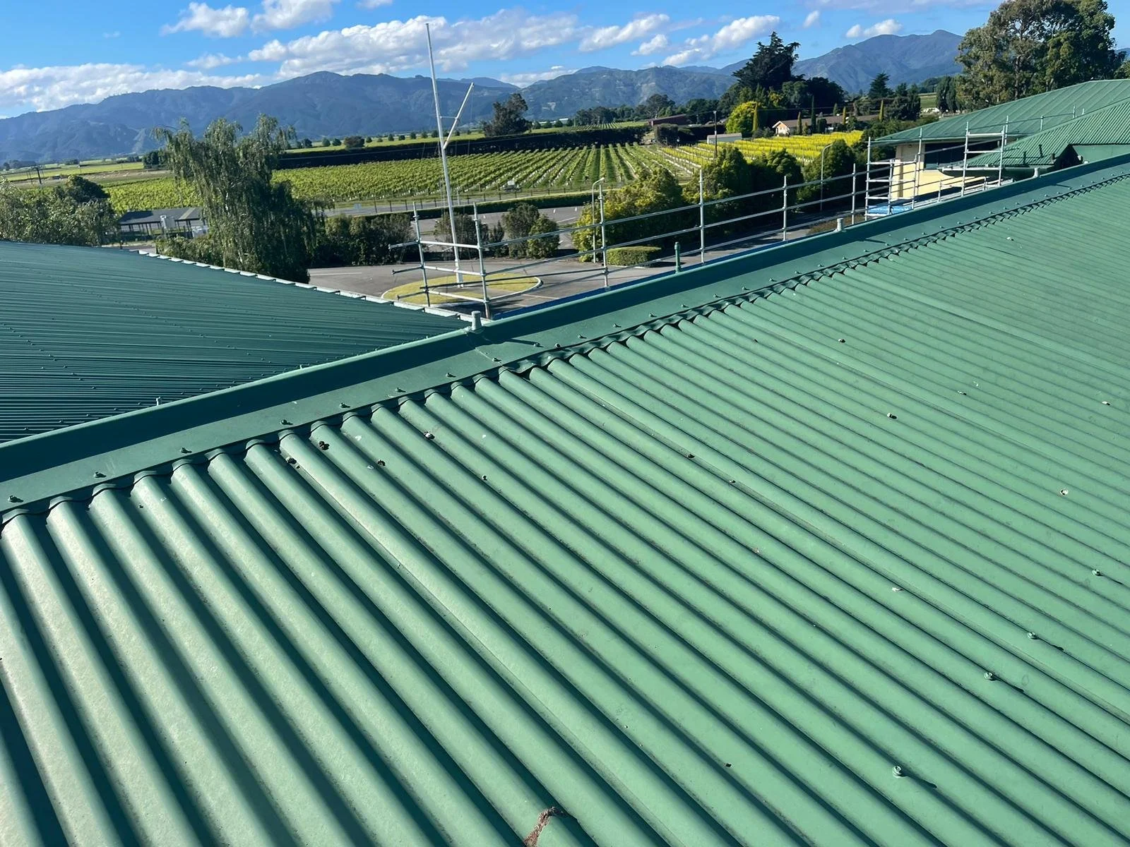 Flock Off - Roof Peaks 3.jpg