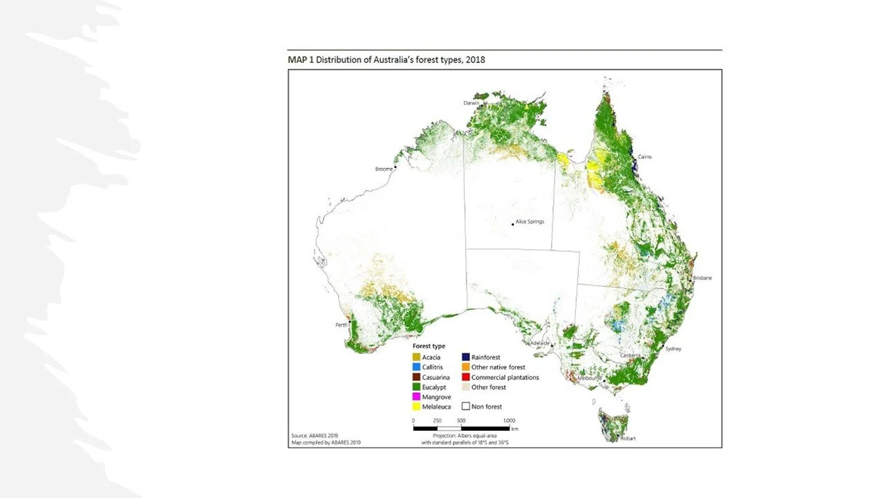 Forests and the Global Forest Carbon Balance: A Comparative Assessment of Major Forest Regions and an Australian Review