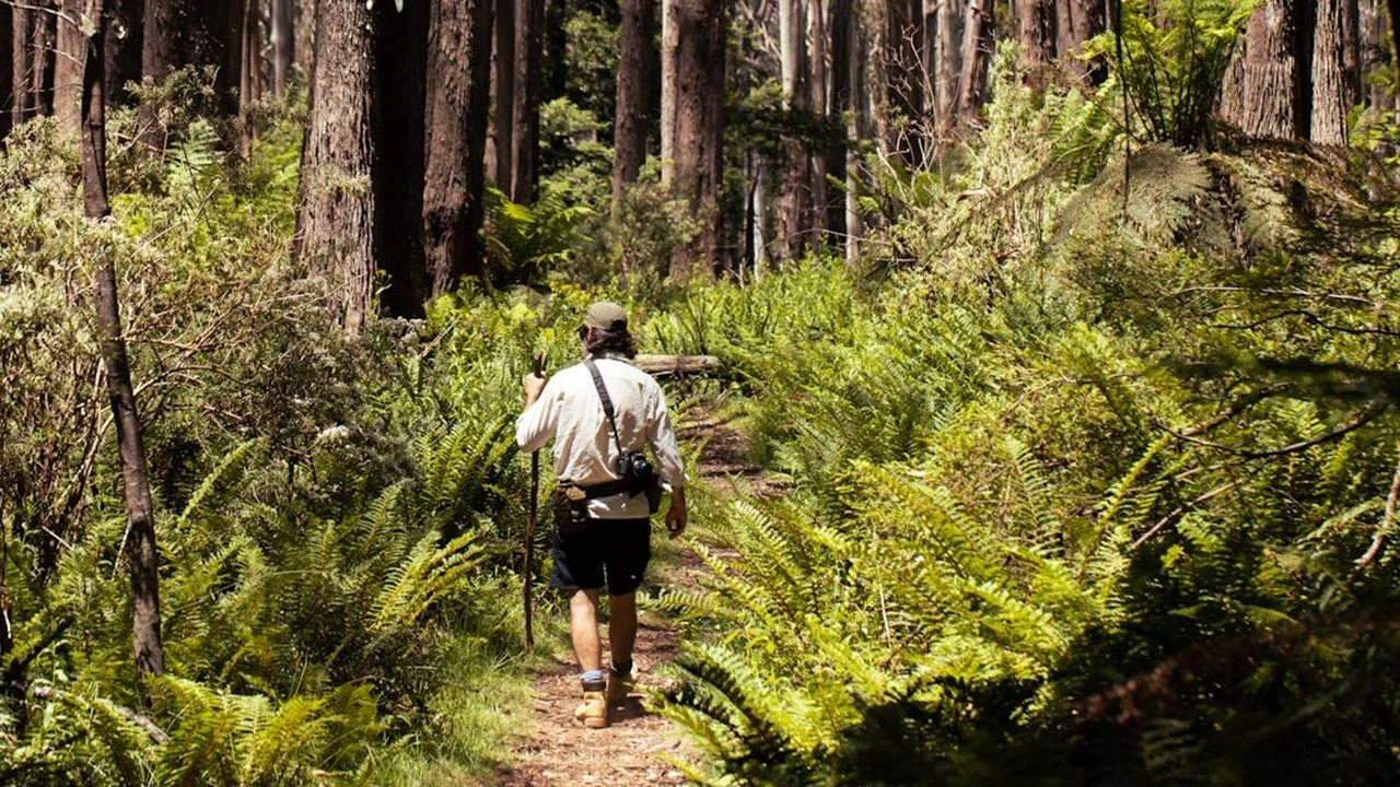 Why MANA’s Natural Mindfulness Program Is Needed Now: