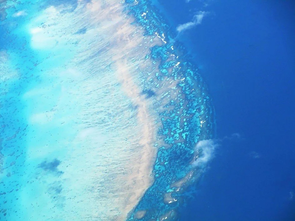 Ocean Heat Content, Complexity Science, and Ecological Futures in Australia