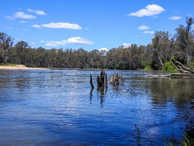 Move More, Move Outside