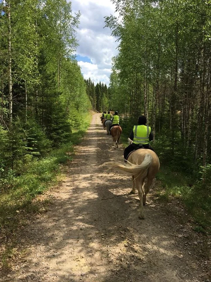 Waarin laavuretki, 2,5 tuntia -1 PAIKKA