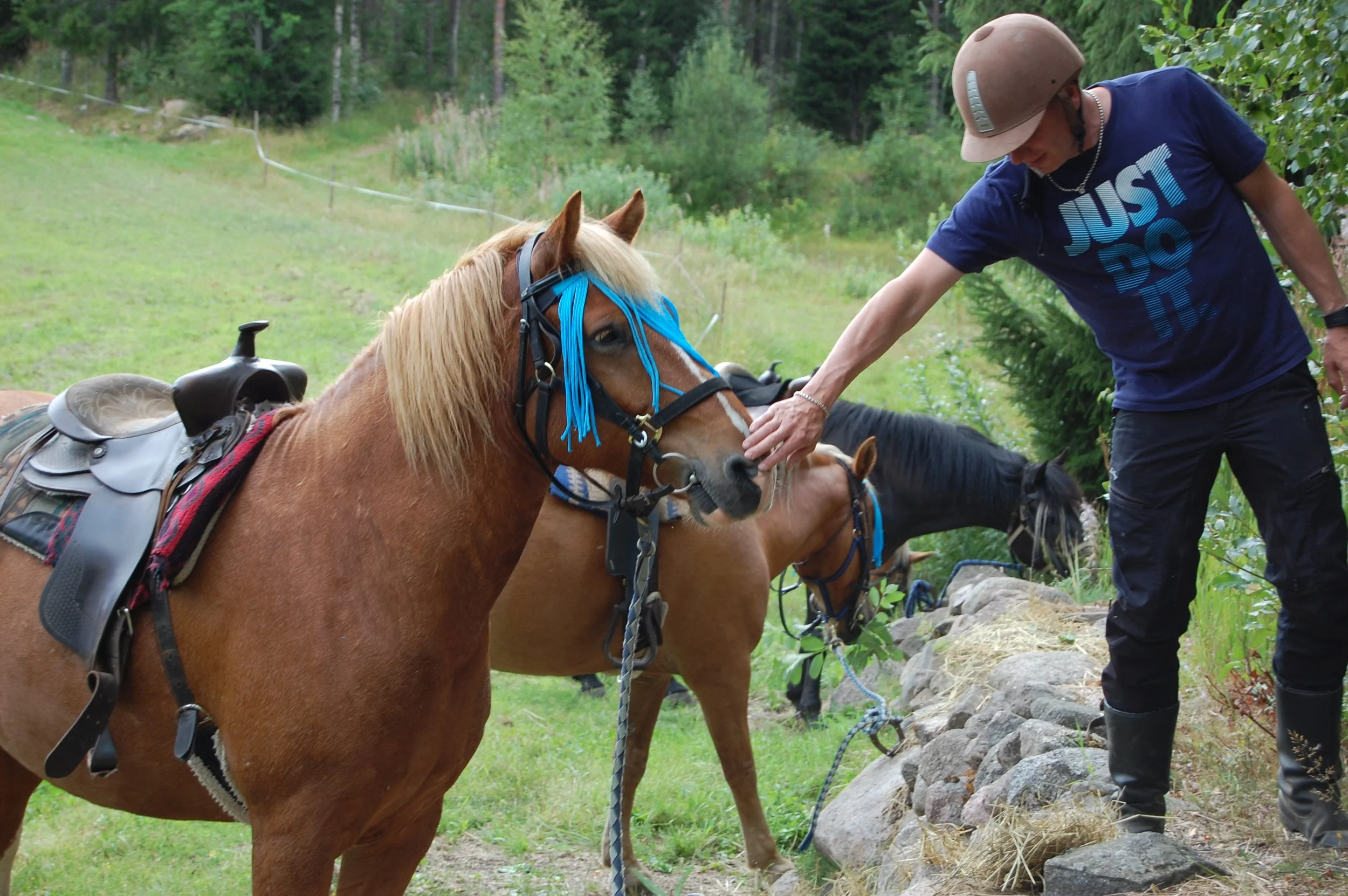 Aloittelijoiden/ensikertalaisten Metsäretki ratsain laavulle -3 PAIKKAA