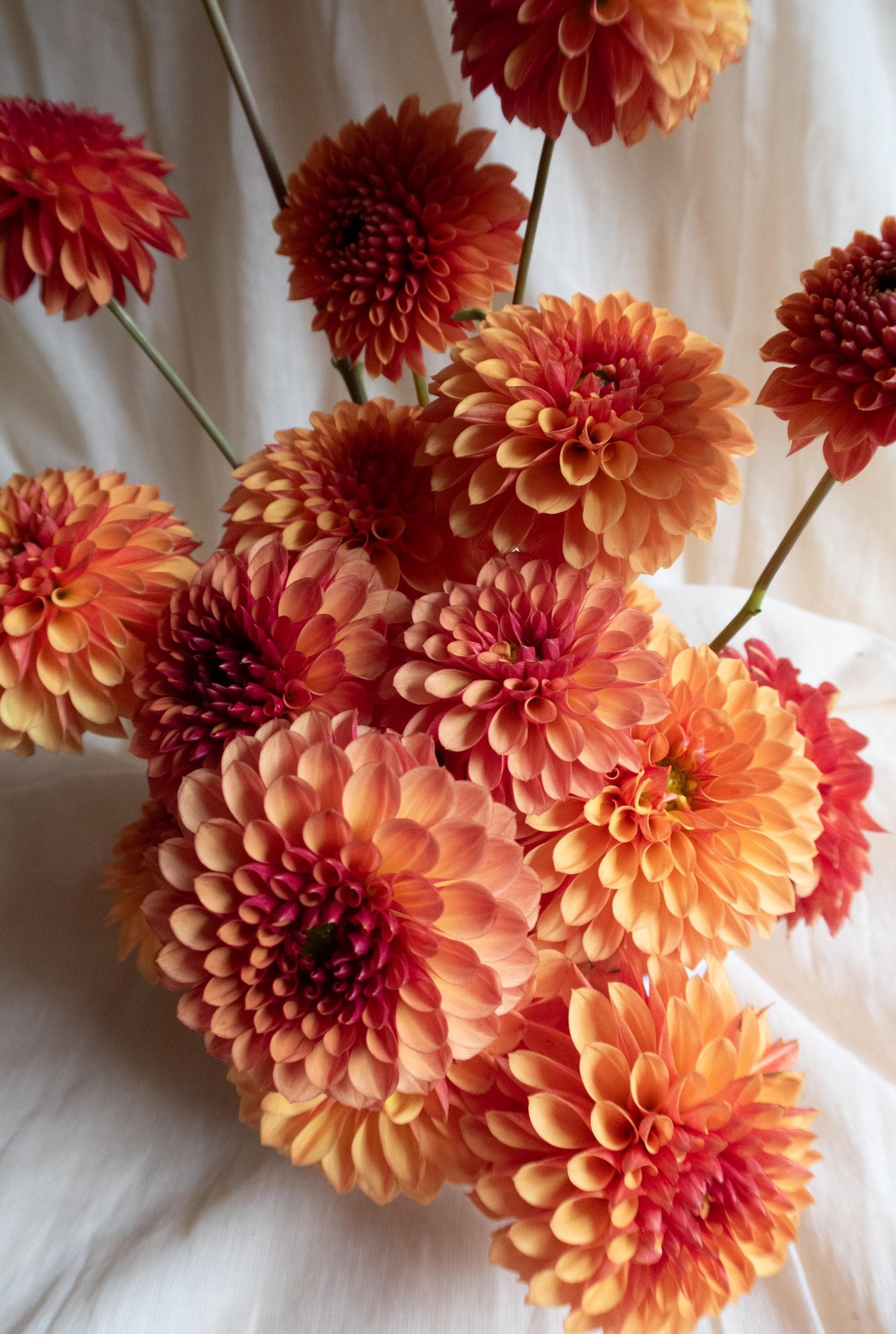 https://i.etsystatic.com/39383007/r/il/b00c11/6766713182/il_fullxfull.6766713182_62o6.jpg