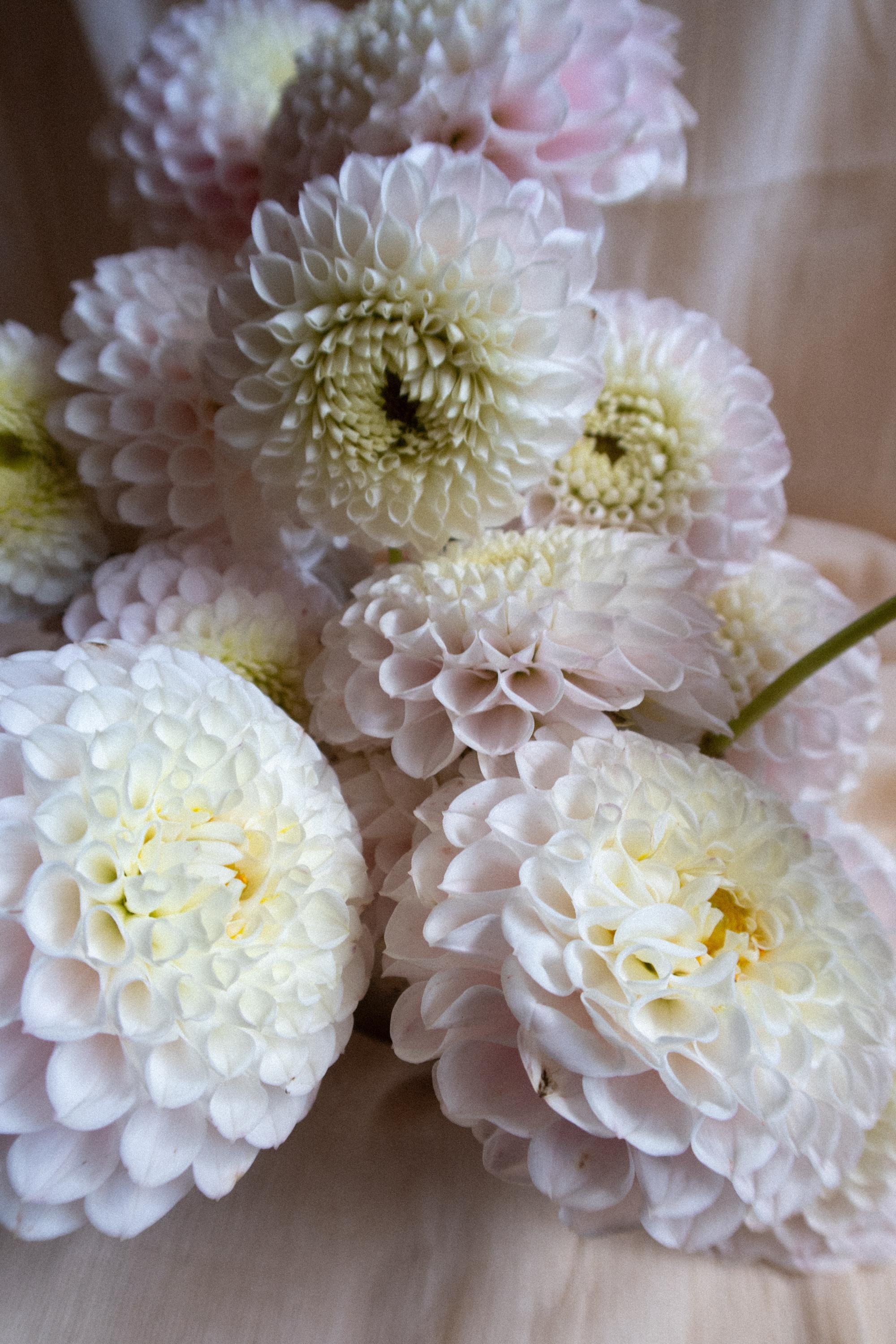 https://i.etsystatic.com/39383007/r/il/6a8518/6766679350/il_fullxfull.6766679350_19h2.jpg
