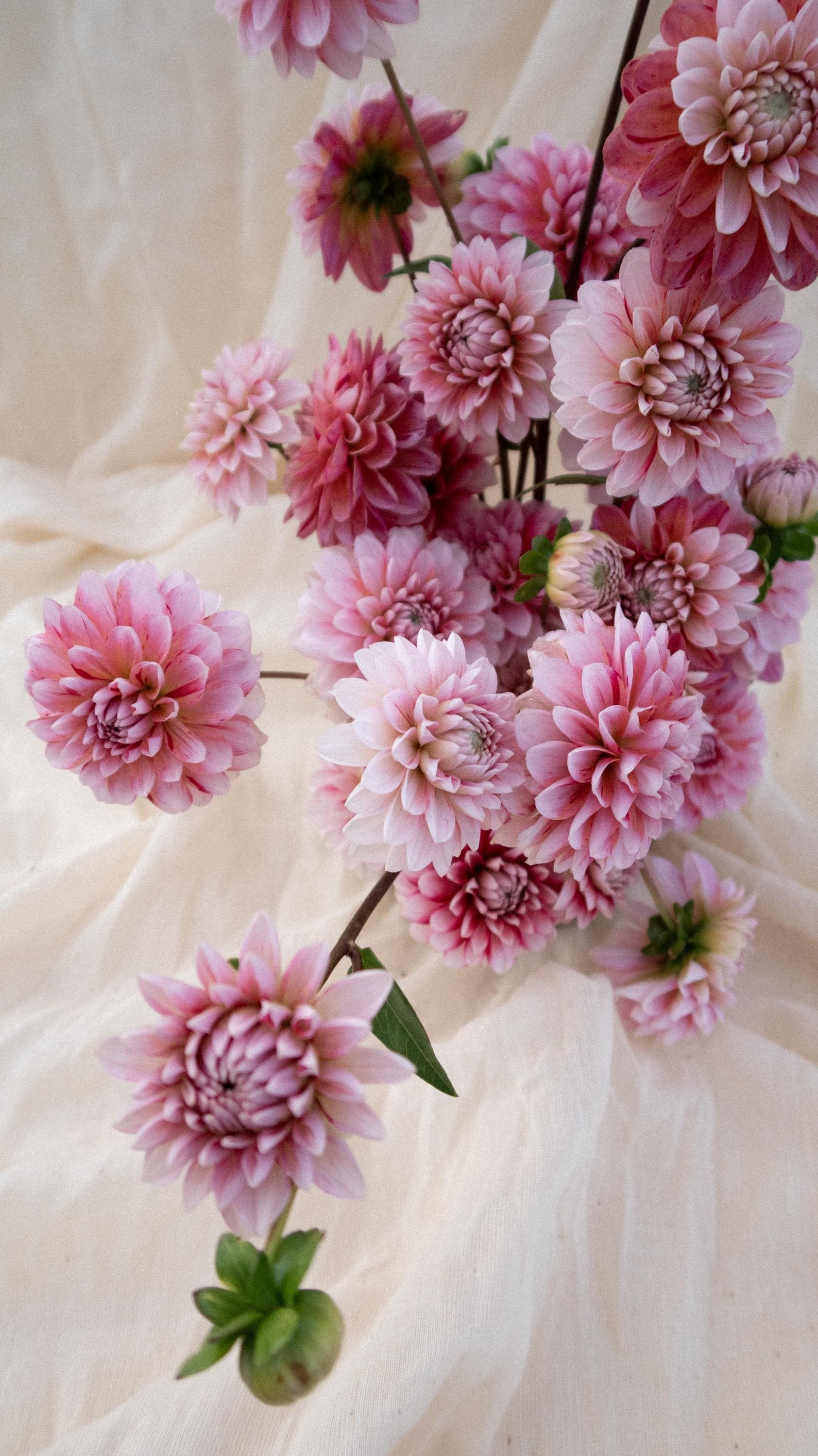 https://i.etsystatic.com/39383007/r/il/940fb5/6814696061/il_fullxfull.6814696061_dgar.jpg