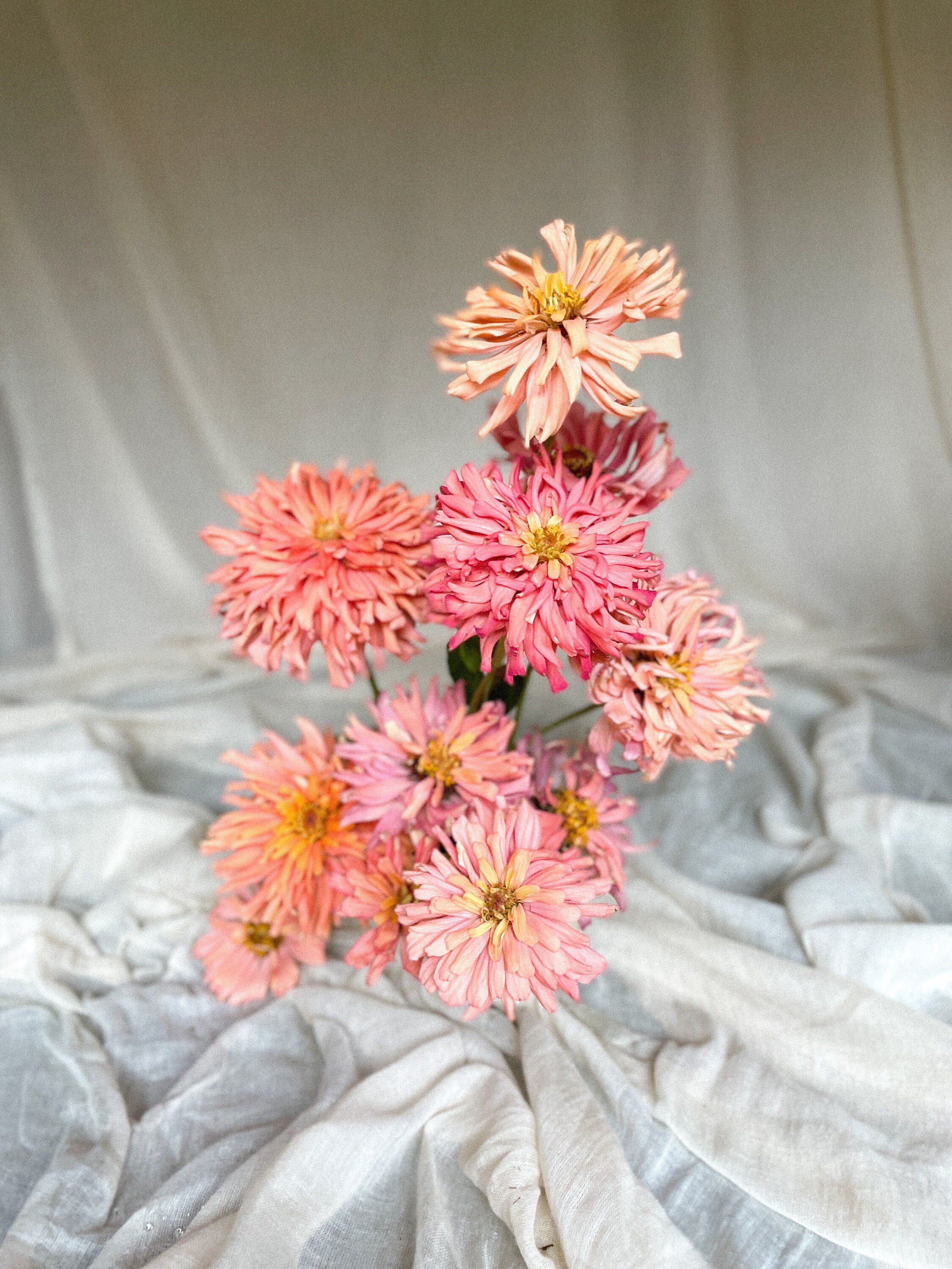 https://i.etsystatic.com/39383007/r/il/cb2356/5834963339/il_fullxfull.5834963339_g9ei.jpg