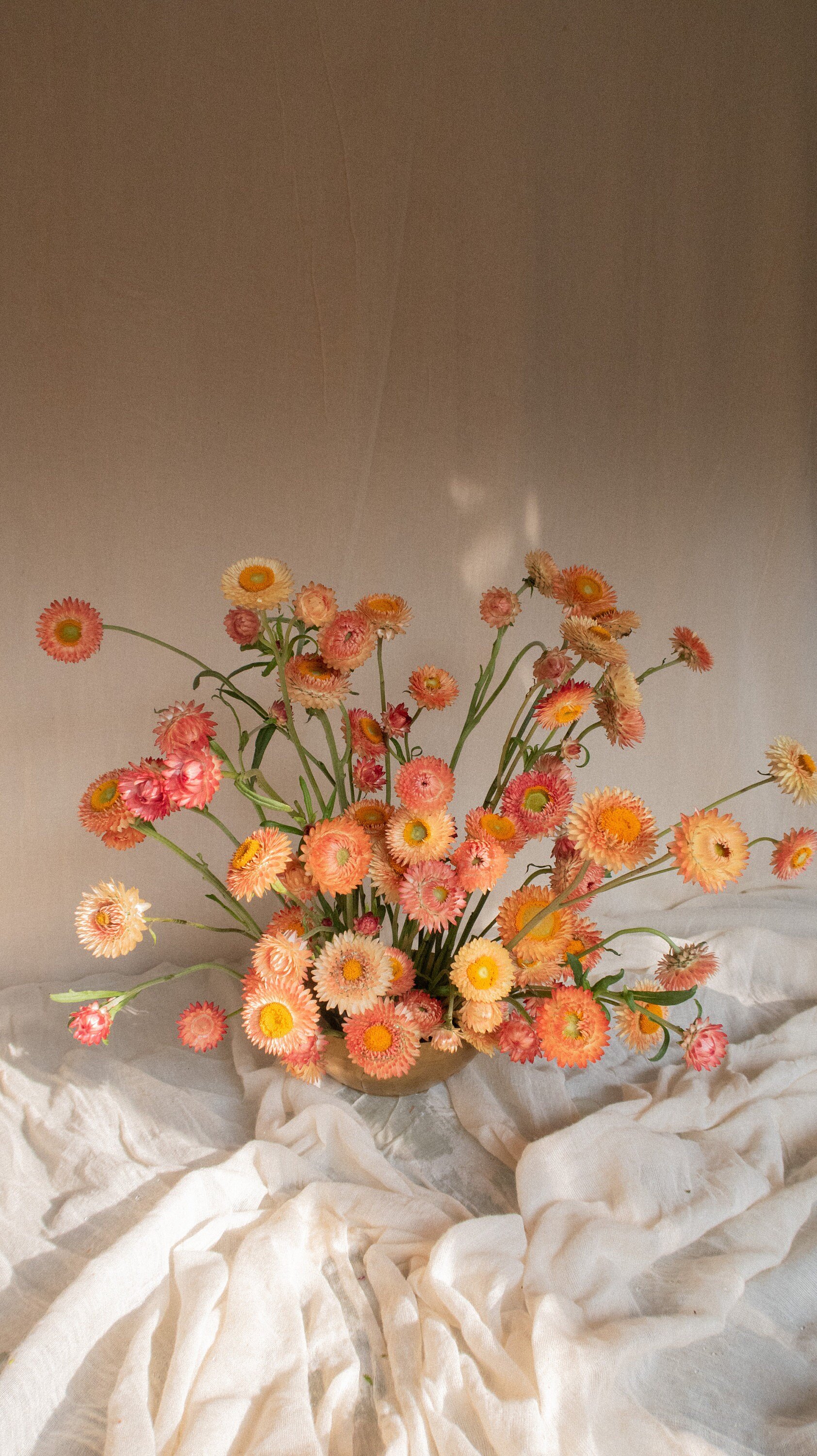https://i.etsystatic.com/39383007/r/il/0ad45c/5786863978/il_fullxfull.5786863978_f6fk.jpg