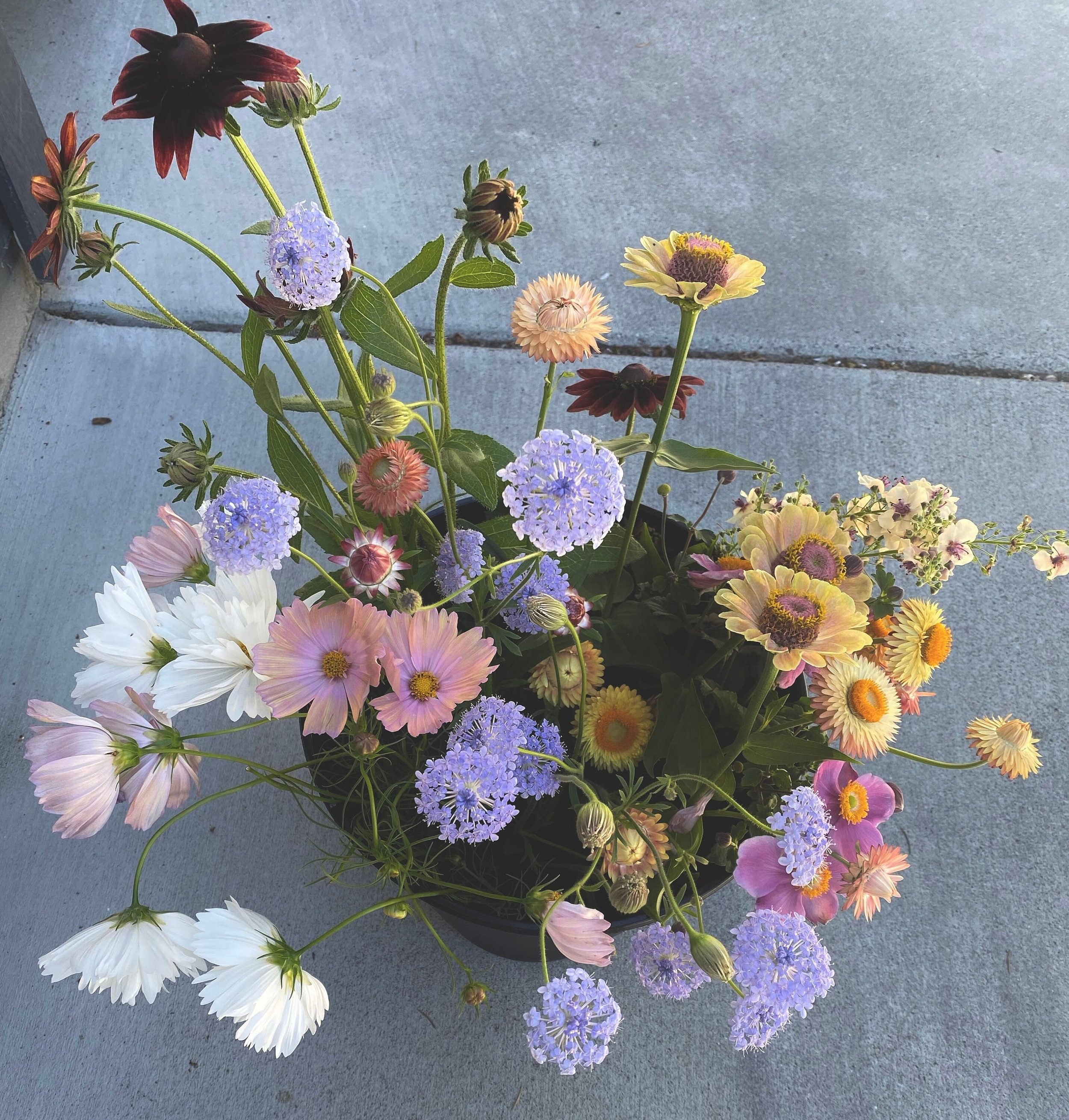 https://i.etsystatic.com/39383007/r/il/ab86a1/4444498290/il_fullxfull.4444498290_hs6j.jpg