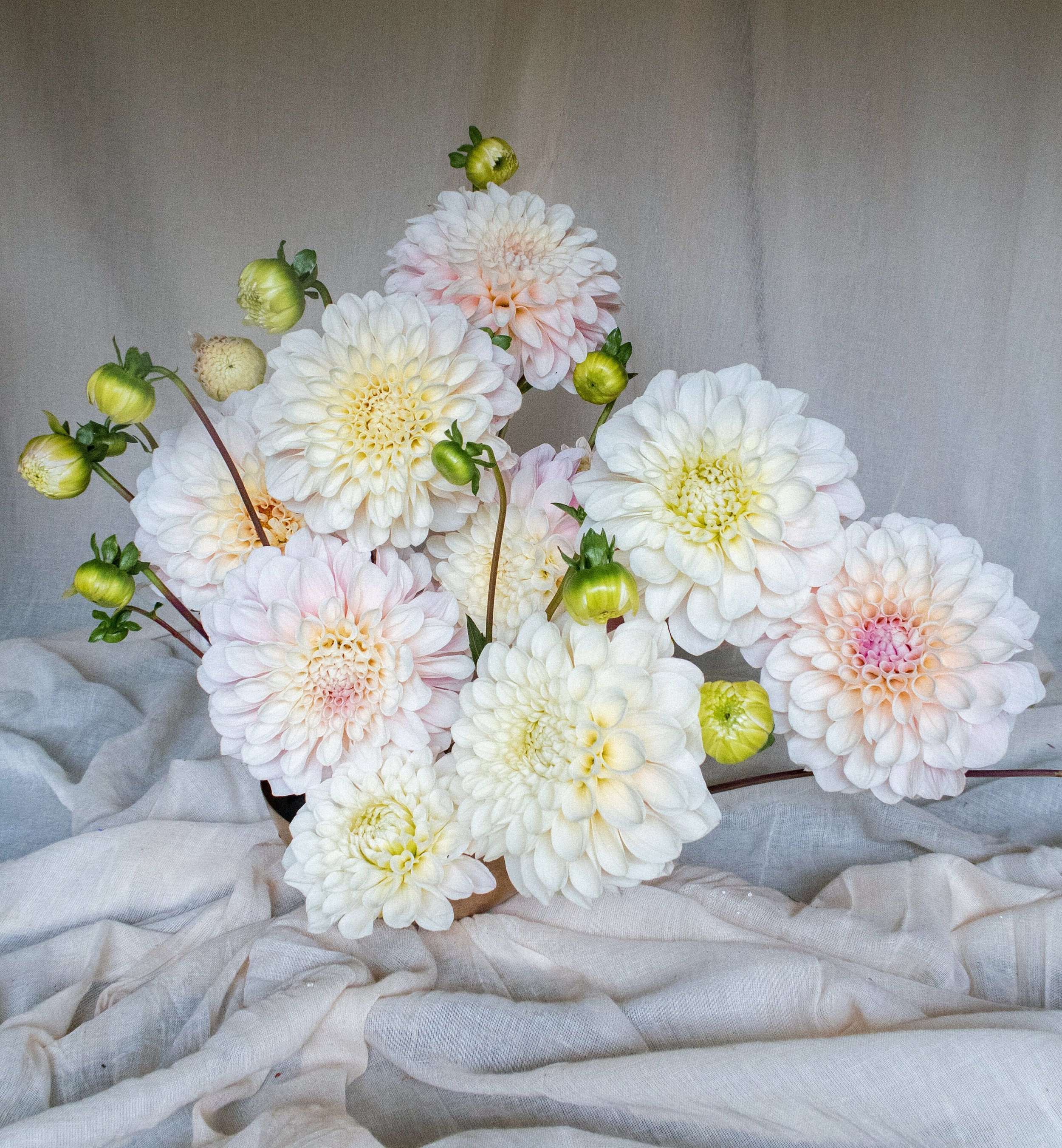 https://i.etsystatic.com/39383007/r/il/893dda/5824832333/il_fullxfull.5824832333_h7cd.jpg
