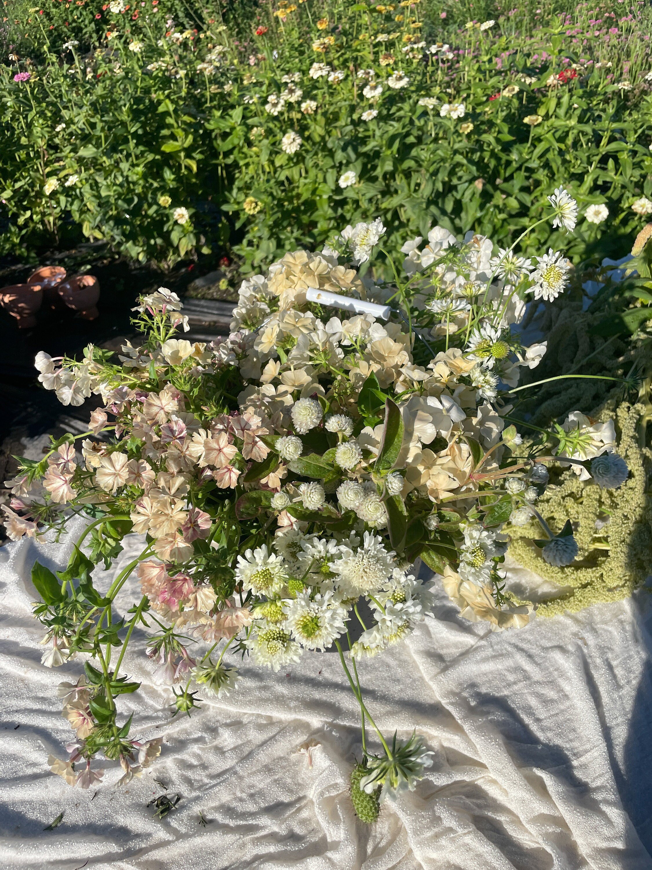 https://i.etsystatic.com/39383007/r/il/dfd01c/5786851560/il_fullxfull.5786851560_1zw8.jpg