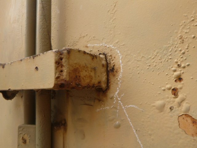 030.jpg