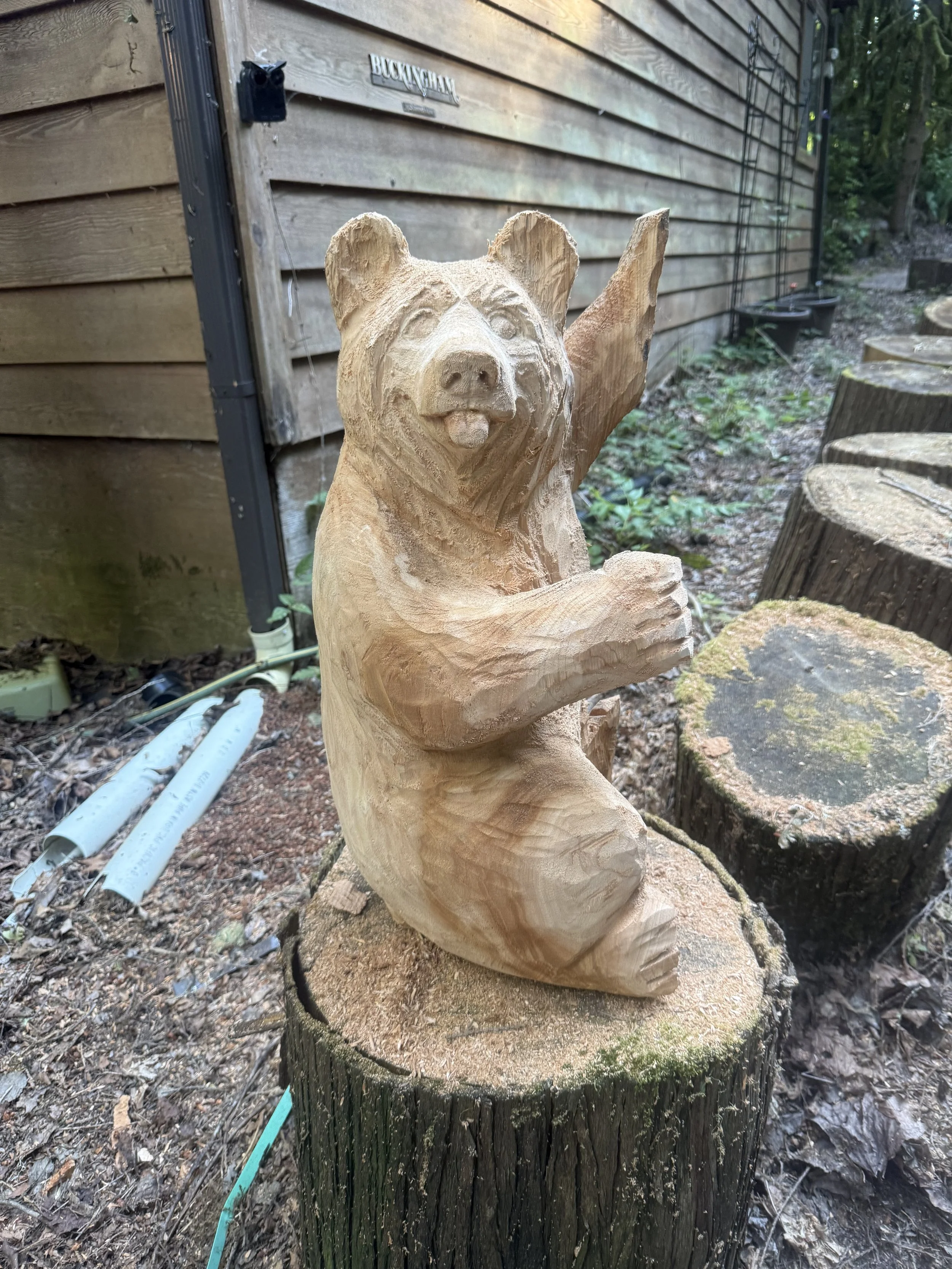IMG_5360.jpg