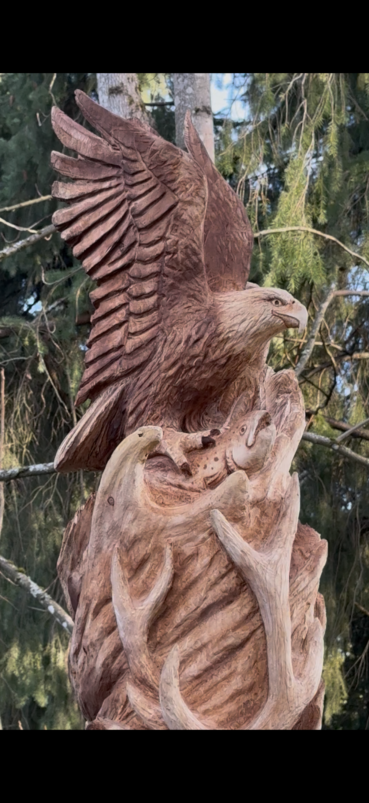 IMG_3156.PNG