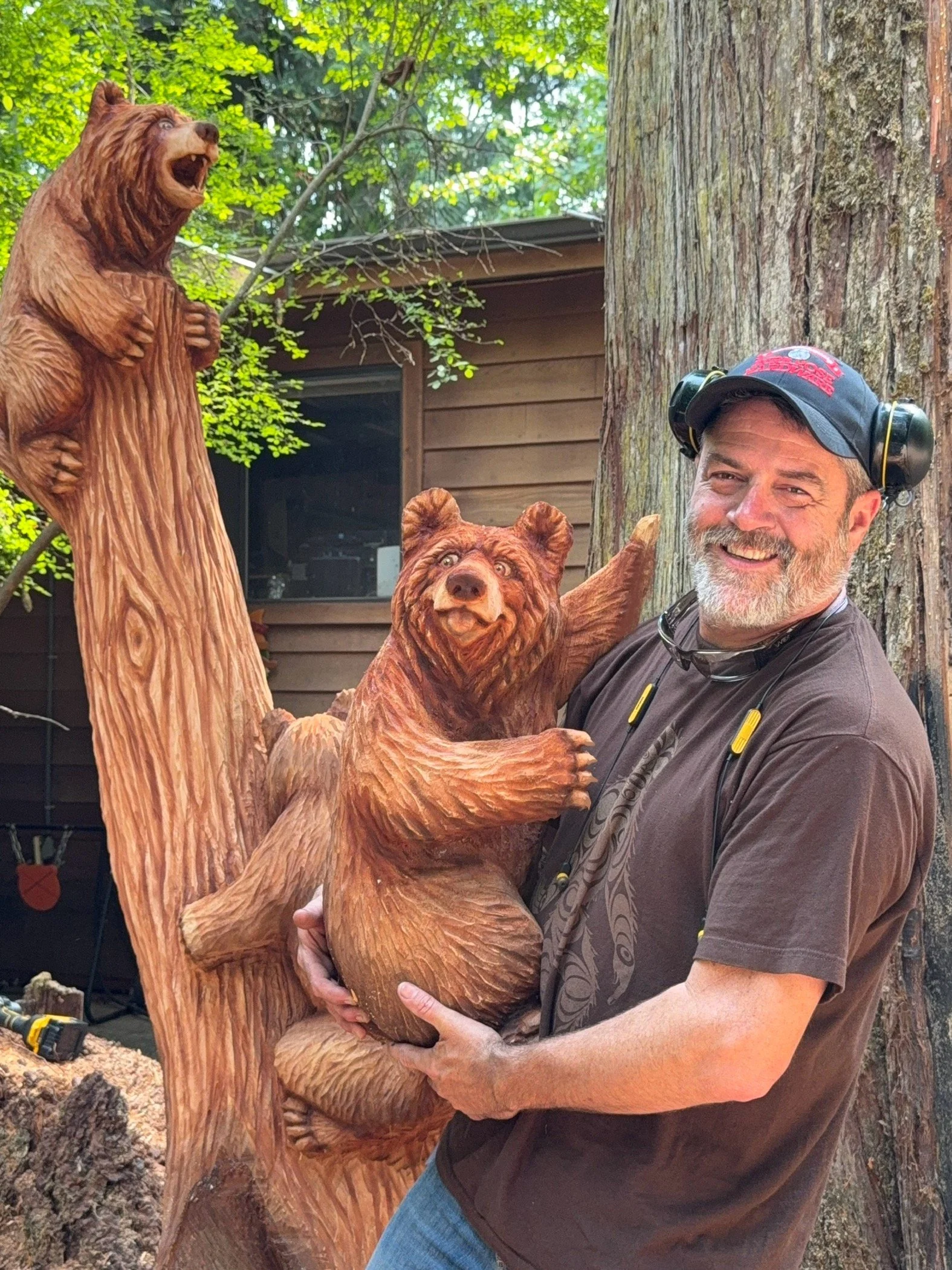 Bear gallery