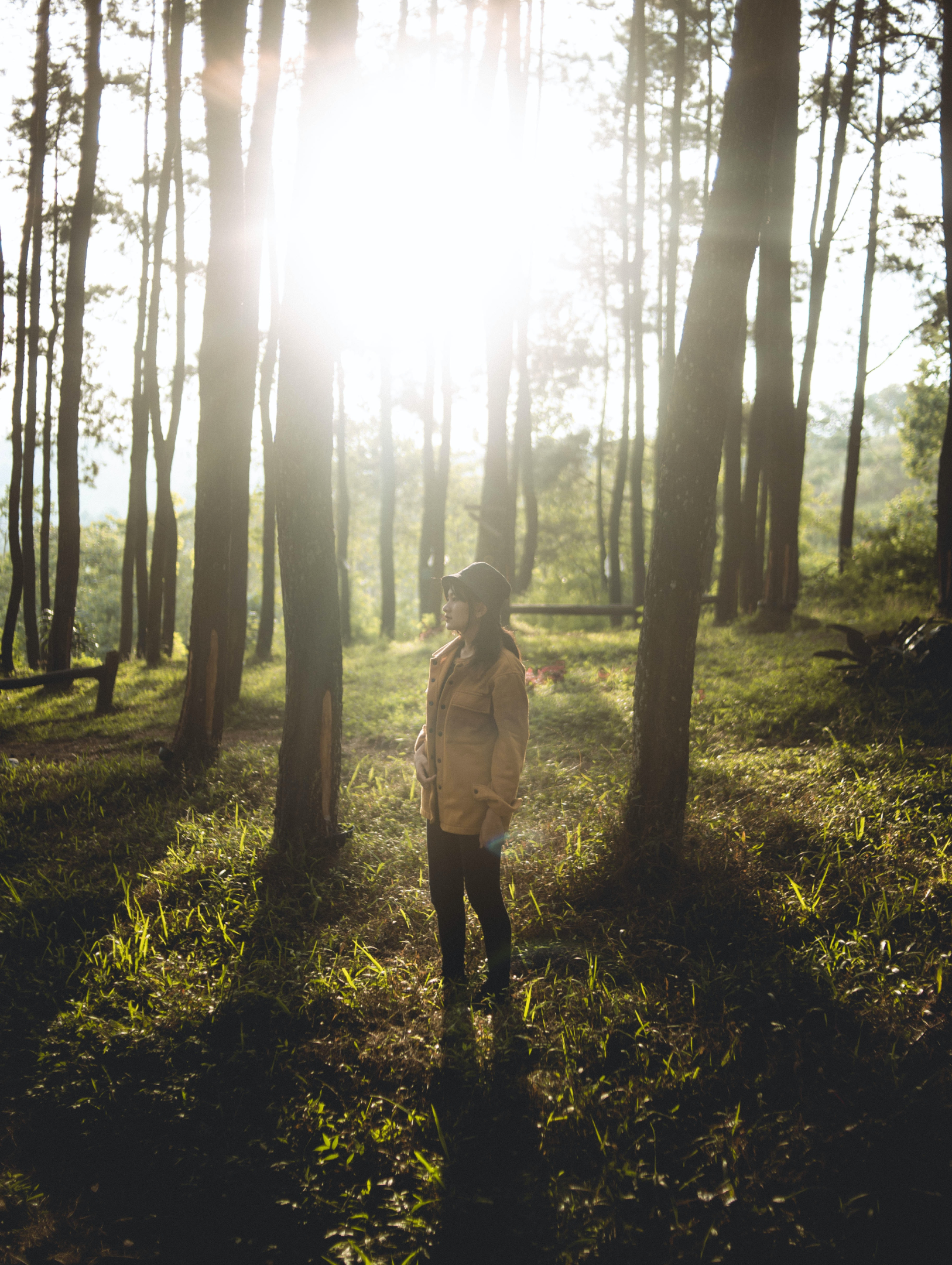 pexels-muhamad-lutfi-17591209 1.png