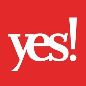 yes.jpeg
