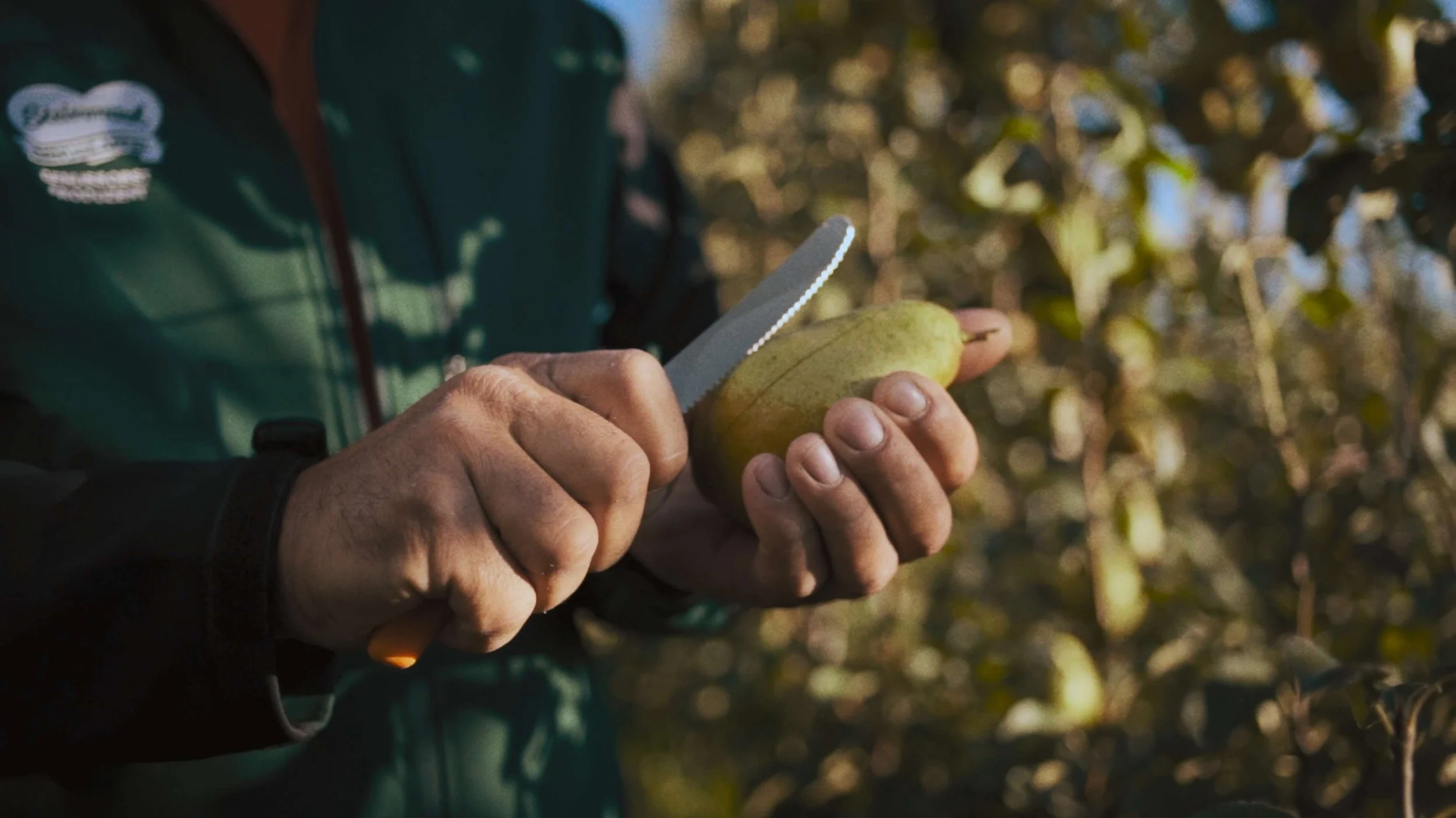 A person using a knife to peel a pear. The person's hands are mid-peel, with a green zipper jacket visible in the background. The setting appears to be outdoors among trees.