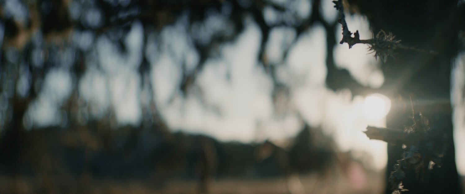 robert-gamperl-director-of-photography-justice-hill-texas-western-cinematography-11.jpg