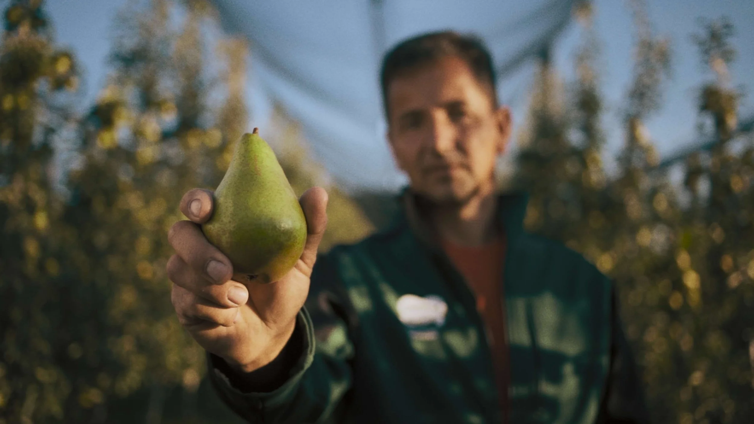 A man holding a pear in focus with a blurred background of trees and a net, outdoors during daytime.