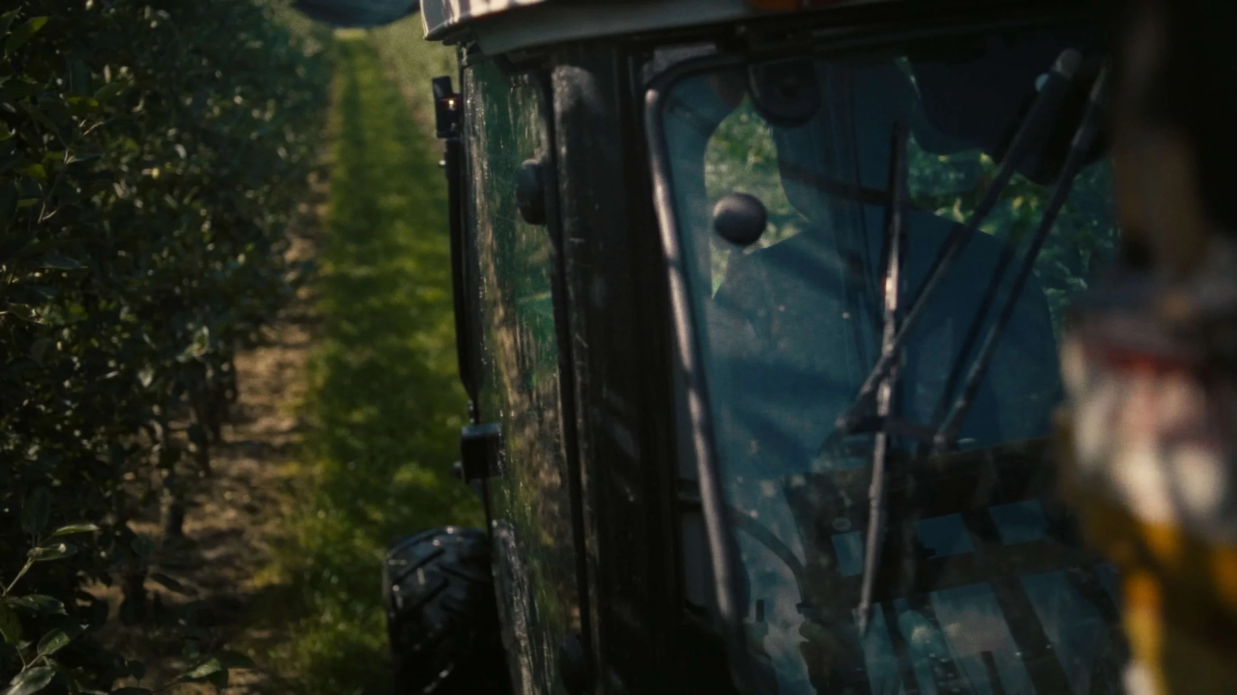 A black off-road utility vehicle parked on a path between green bushes, viewed from the side and slightly behind, with sunlight casting shadows.