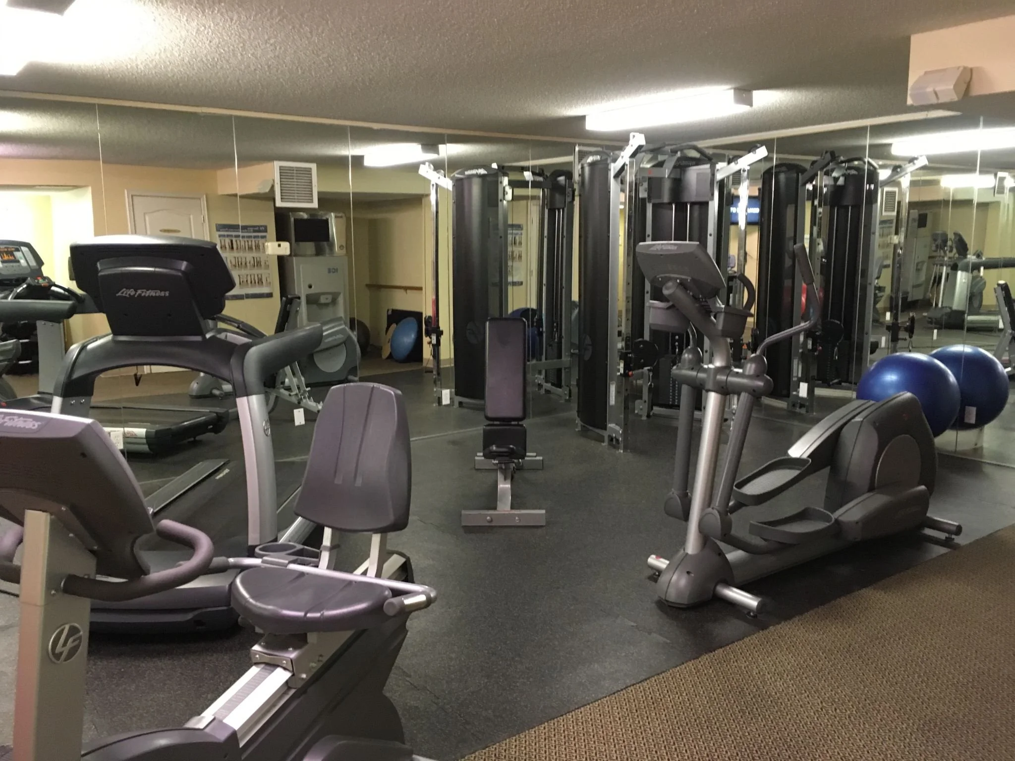 [ Gyms for Brains ]