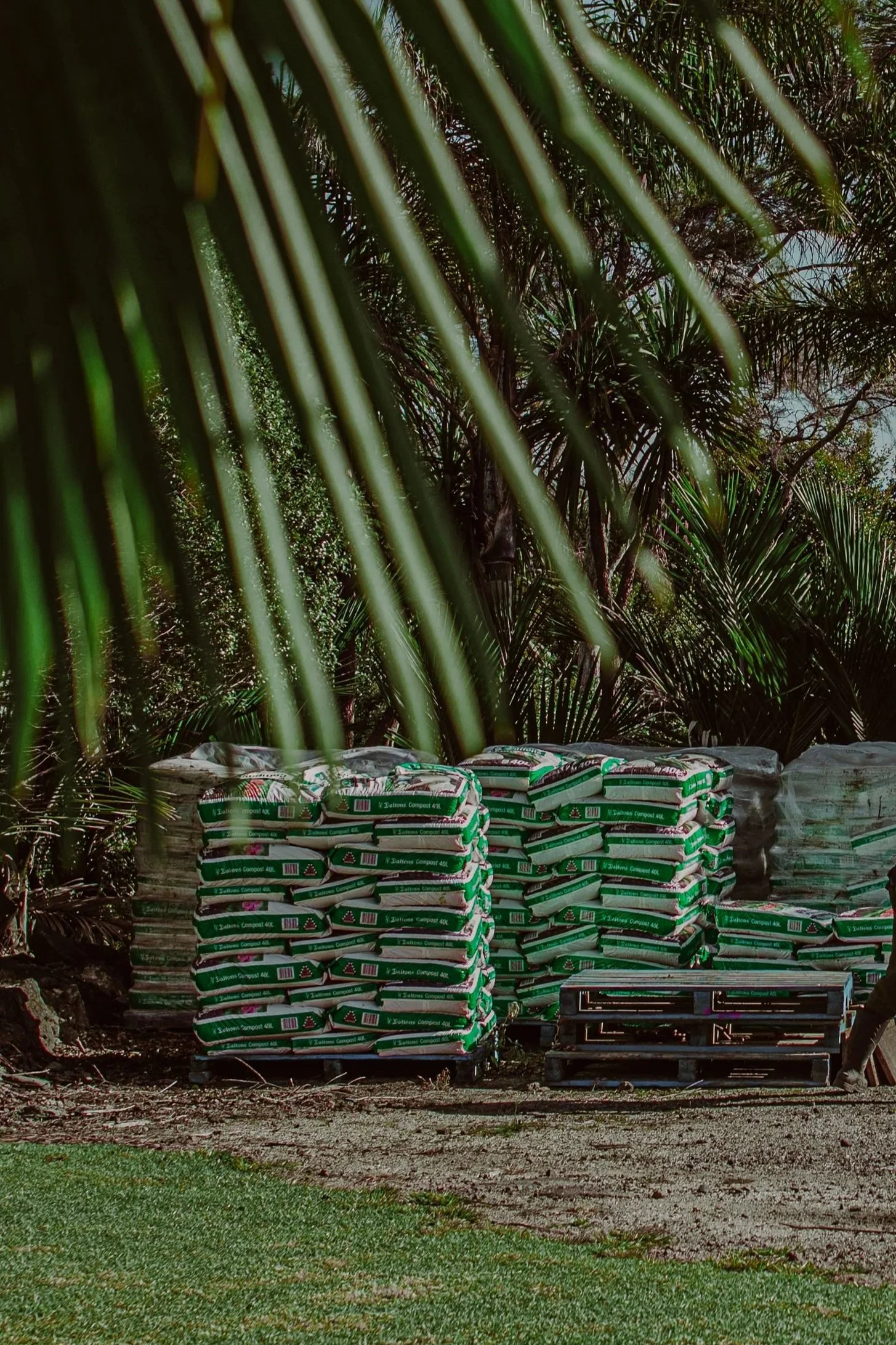 Daltons Bagged Compost.jpg