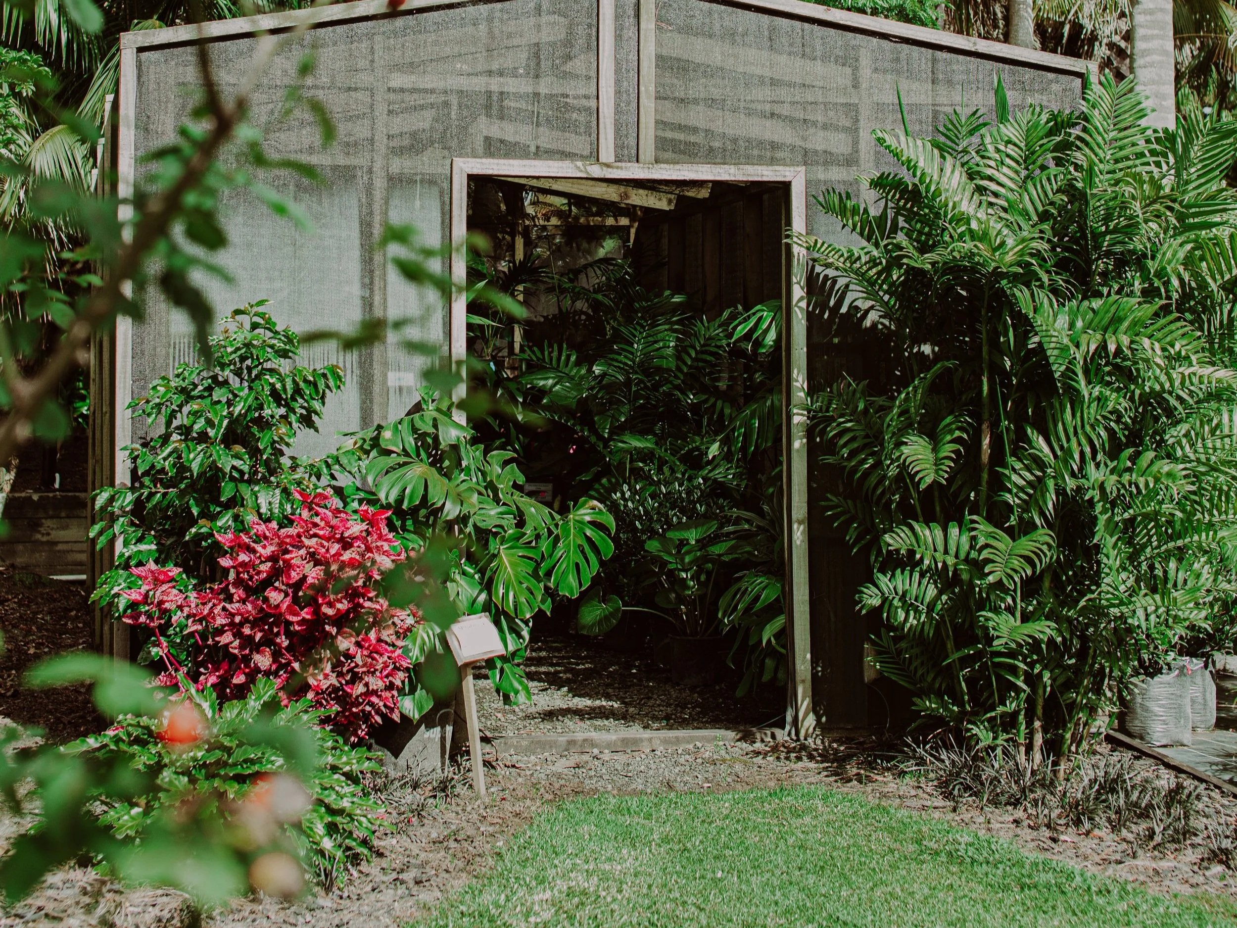Auckland Palm Centre Shadehouse