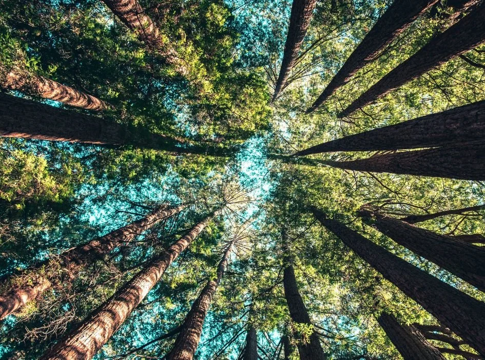 Ce que l’on nomme Dieu, c’est quoi pour toi?