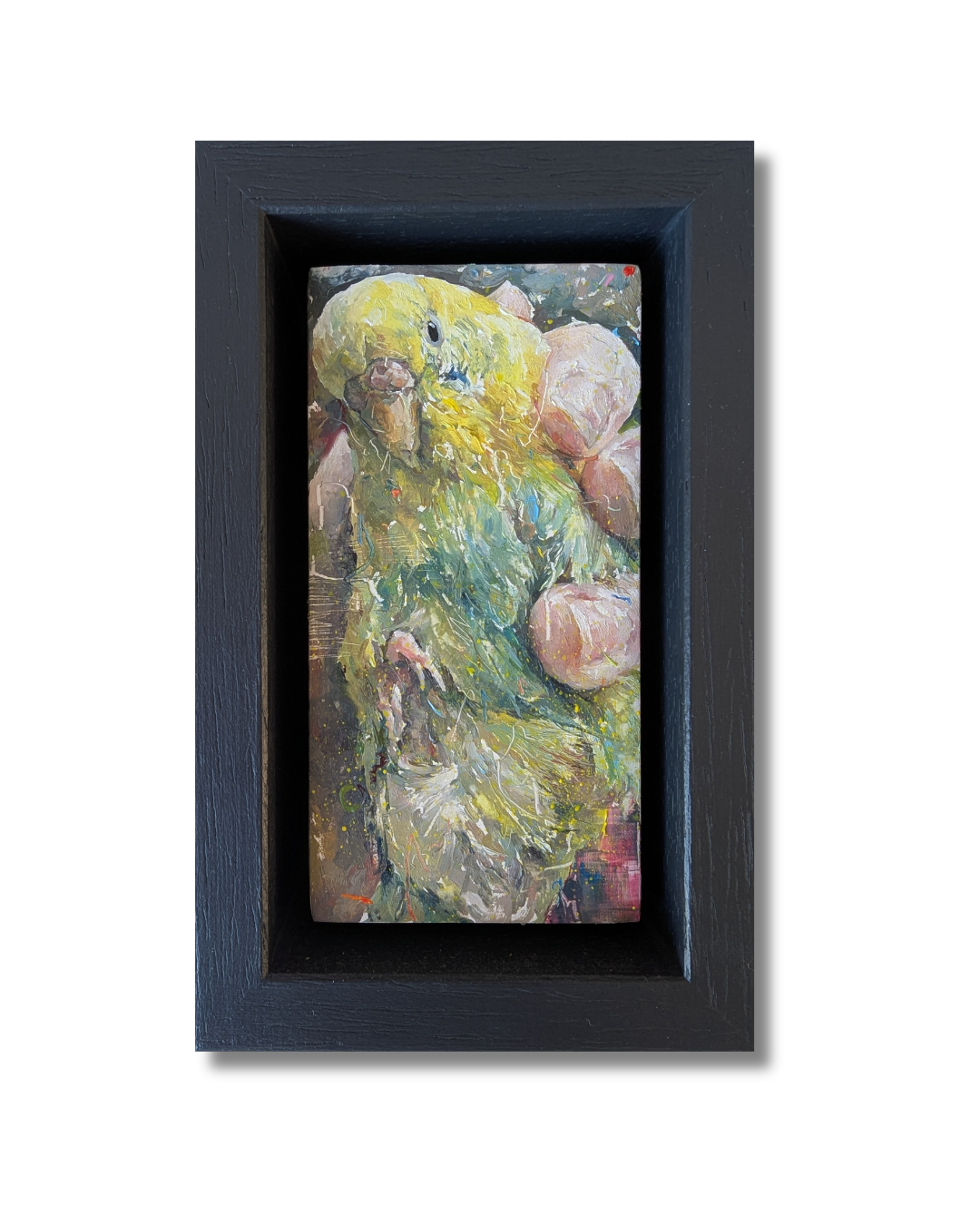 Budgie
