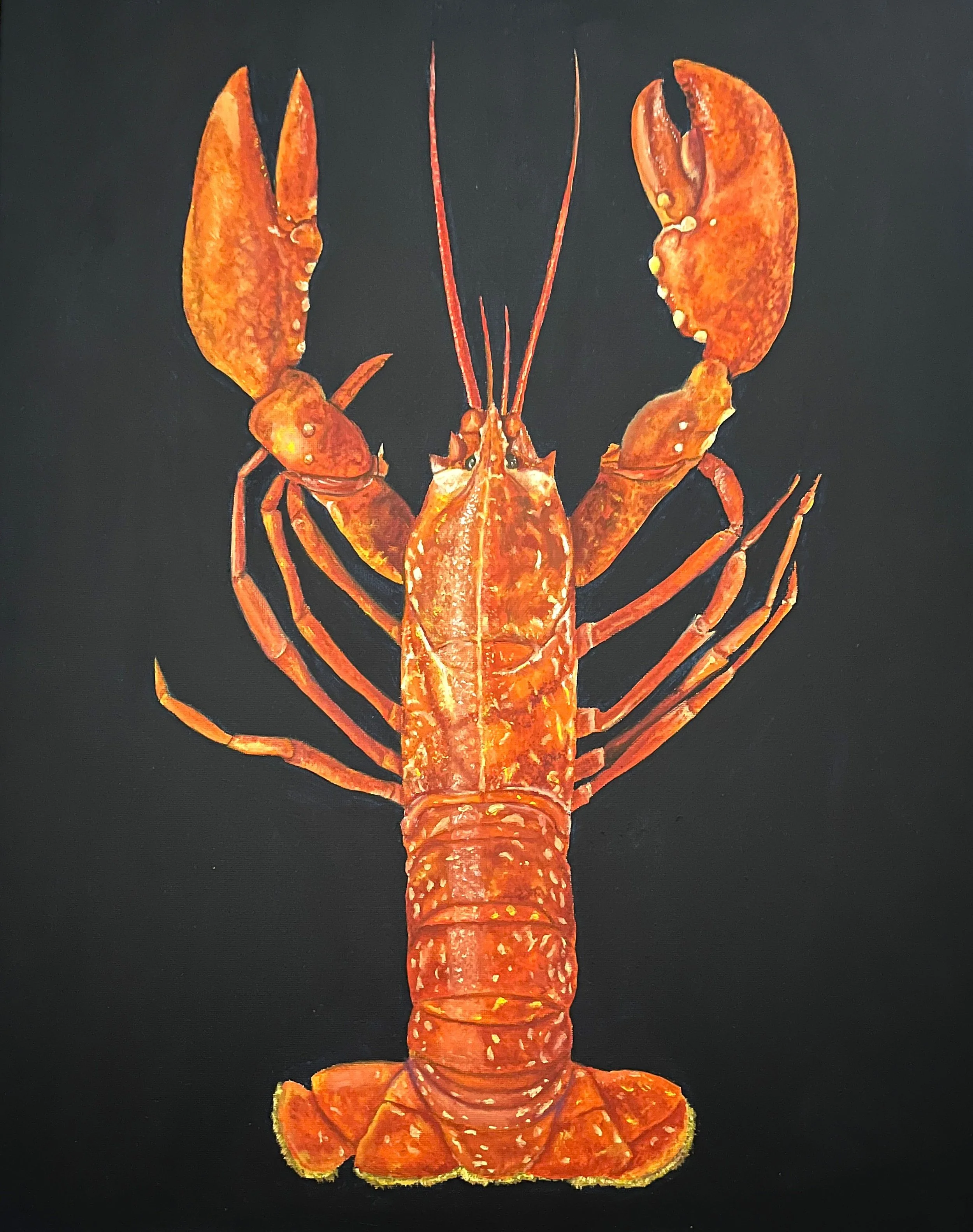 lobster v 2.jpg