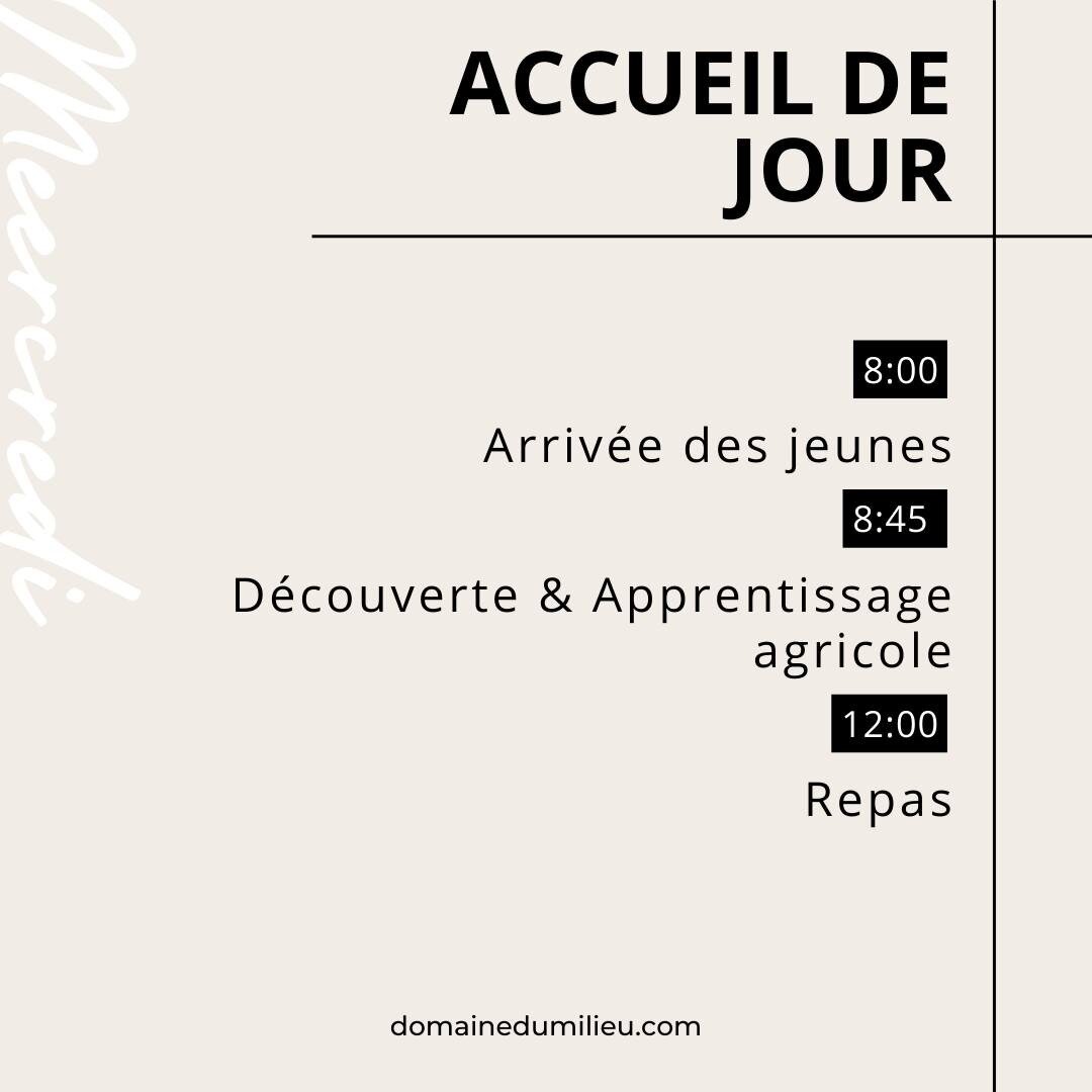On vous emm&egrave;ne avec nous, en &ldquo;vis ma vie&rdquo; pour vous partager le quotidien du Domaine du Milieu.

Pour la matin&eacute;e :
8h - Arriv&eacute;e des jeunes sur le domaine
8h45 - Activit&eacute; de la matin&eacute;e : d&eacute;couverte
