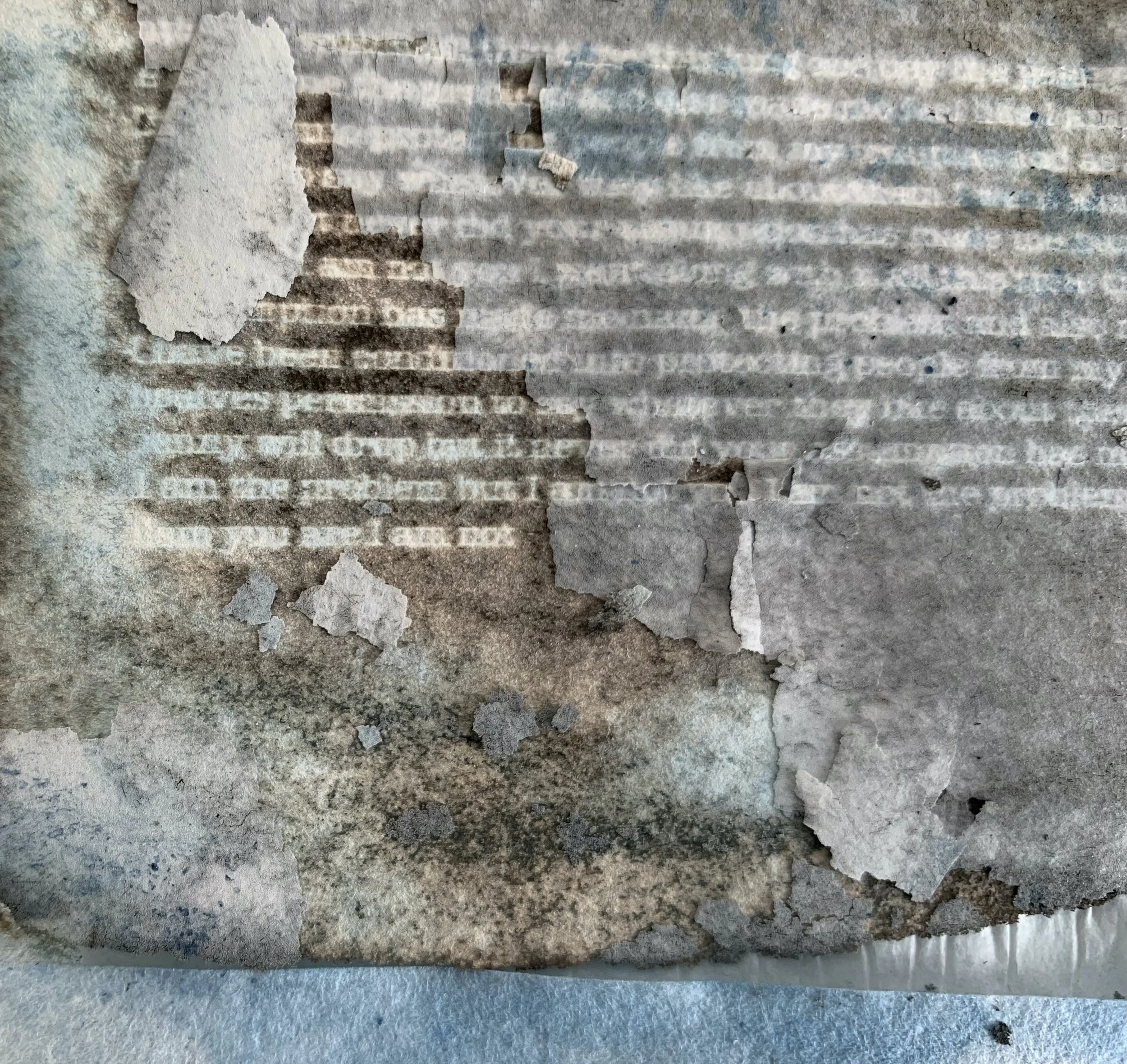 Study Day promo image.jpeg