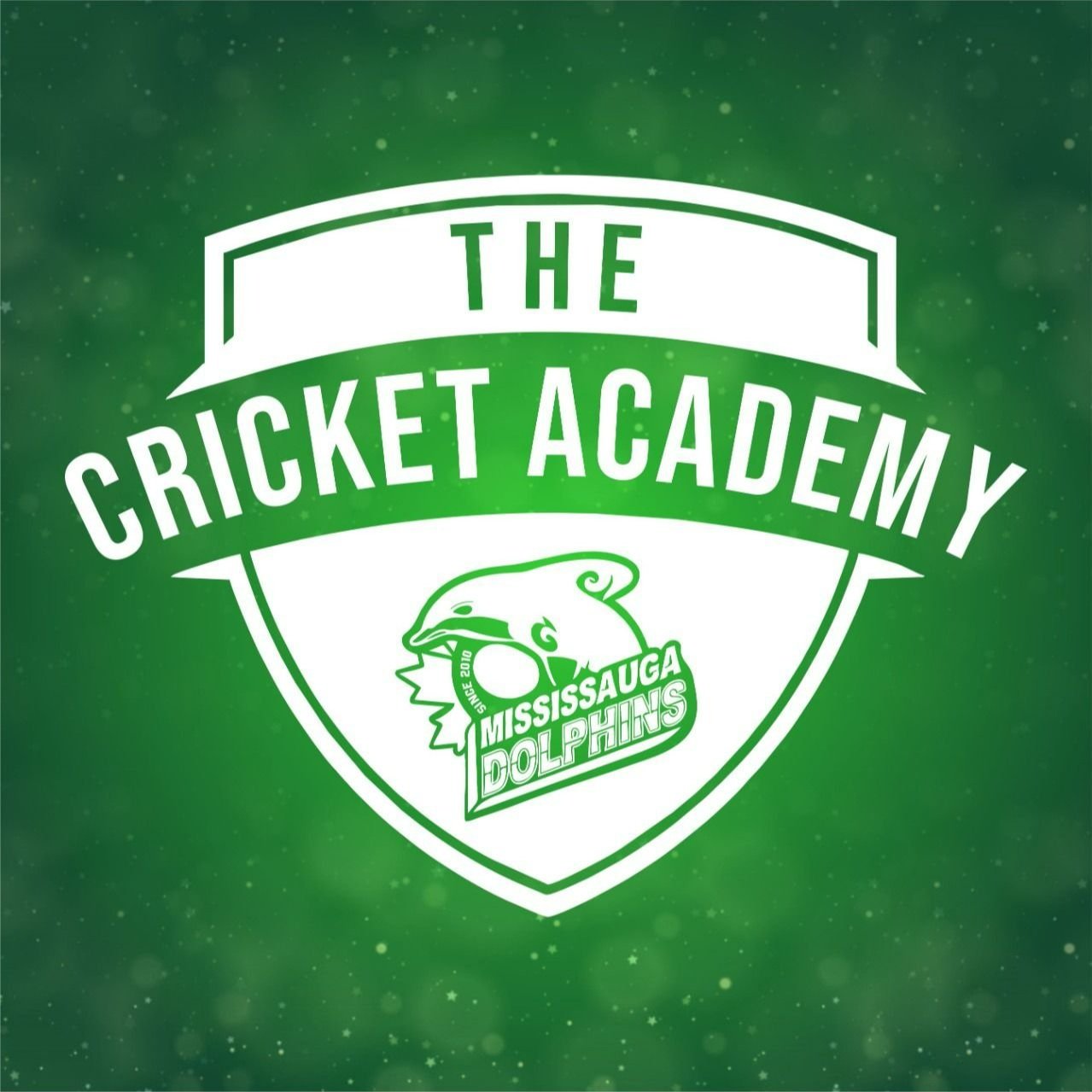 The Cricket Academy 