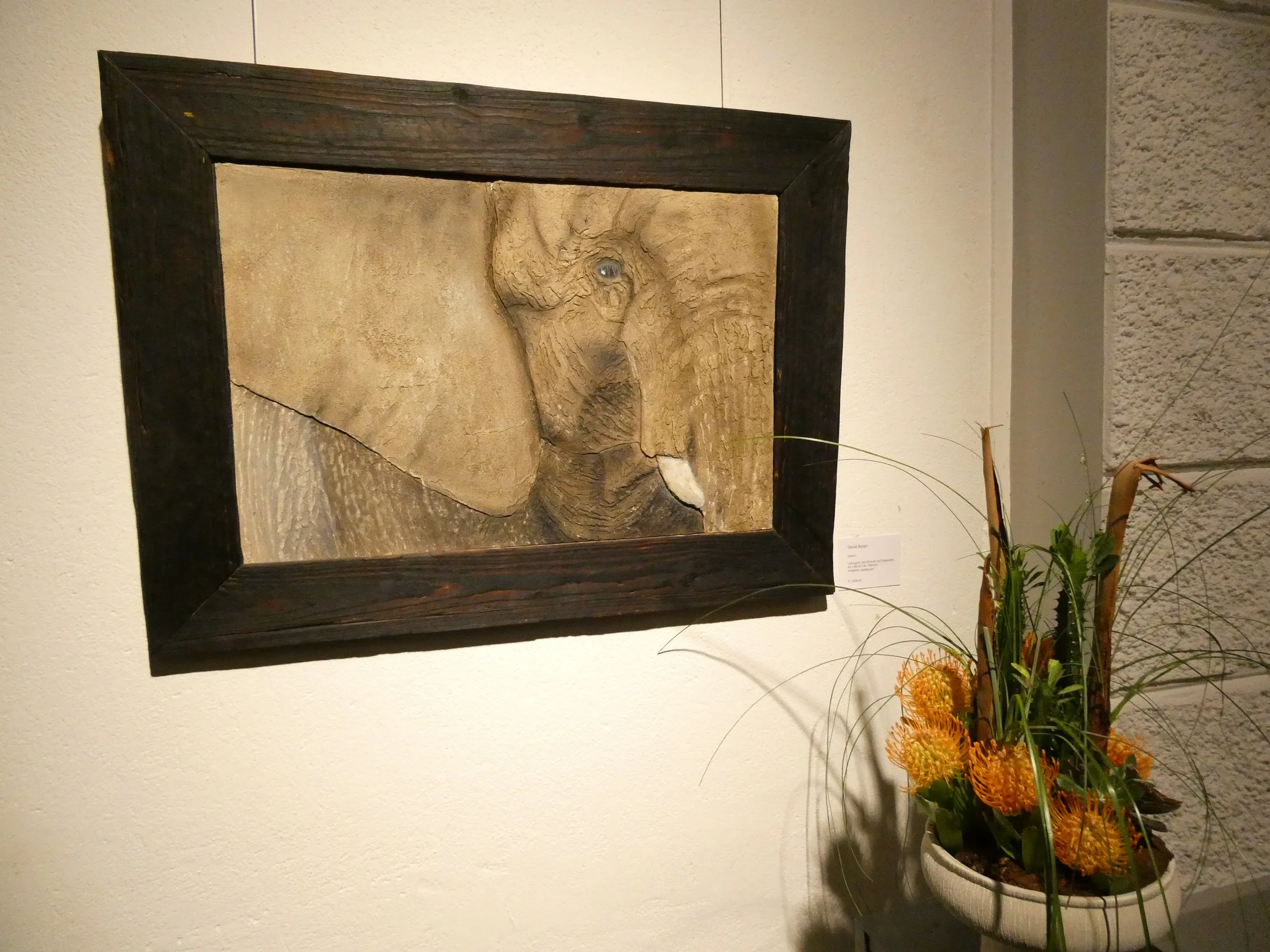 P1000713.JPG