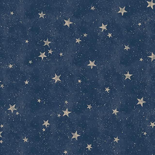 BCKG Star Wallpaper.jpeg
