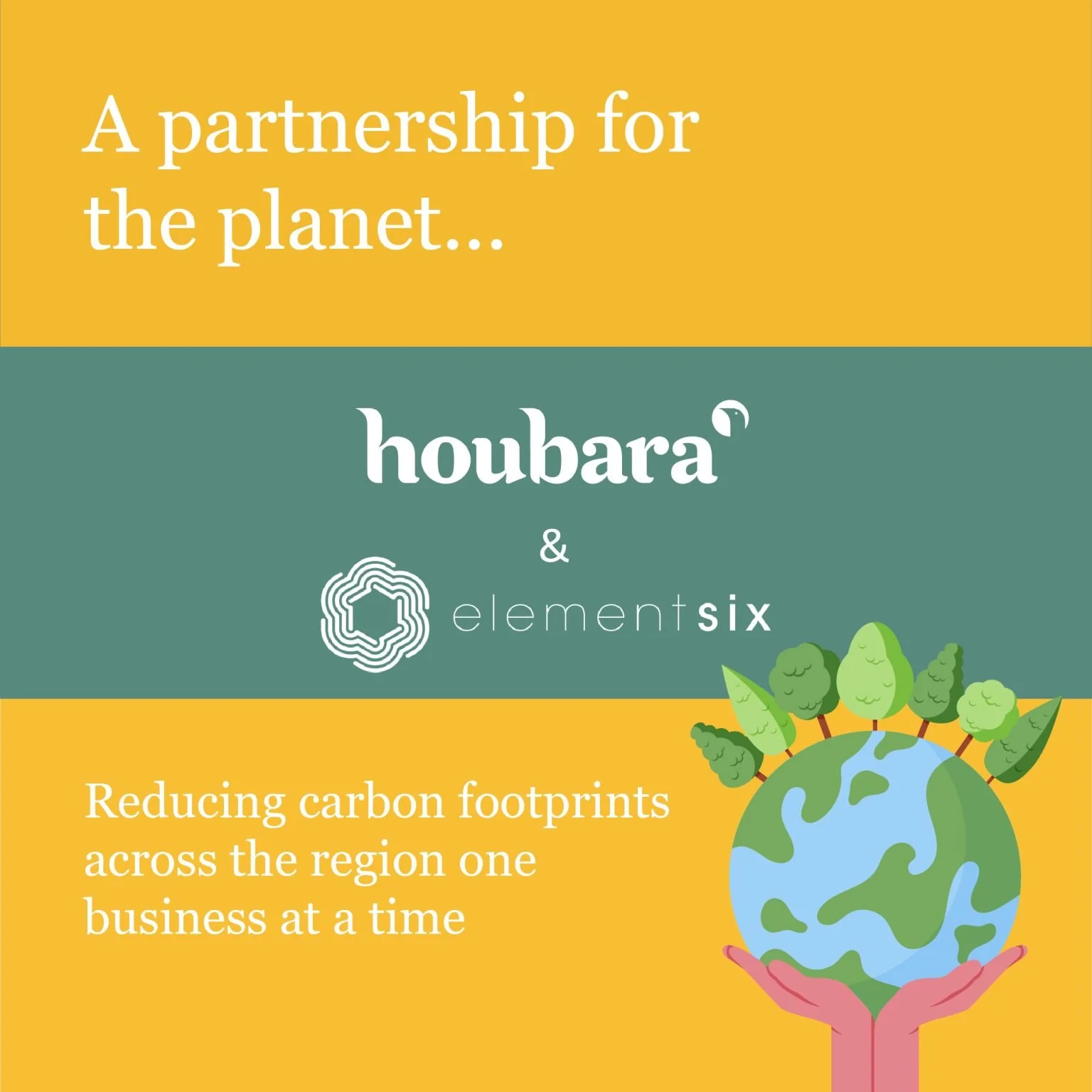 Houbara Element Six.jpeg