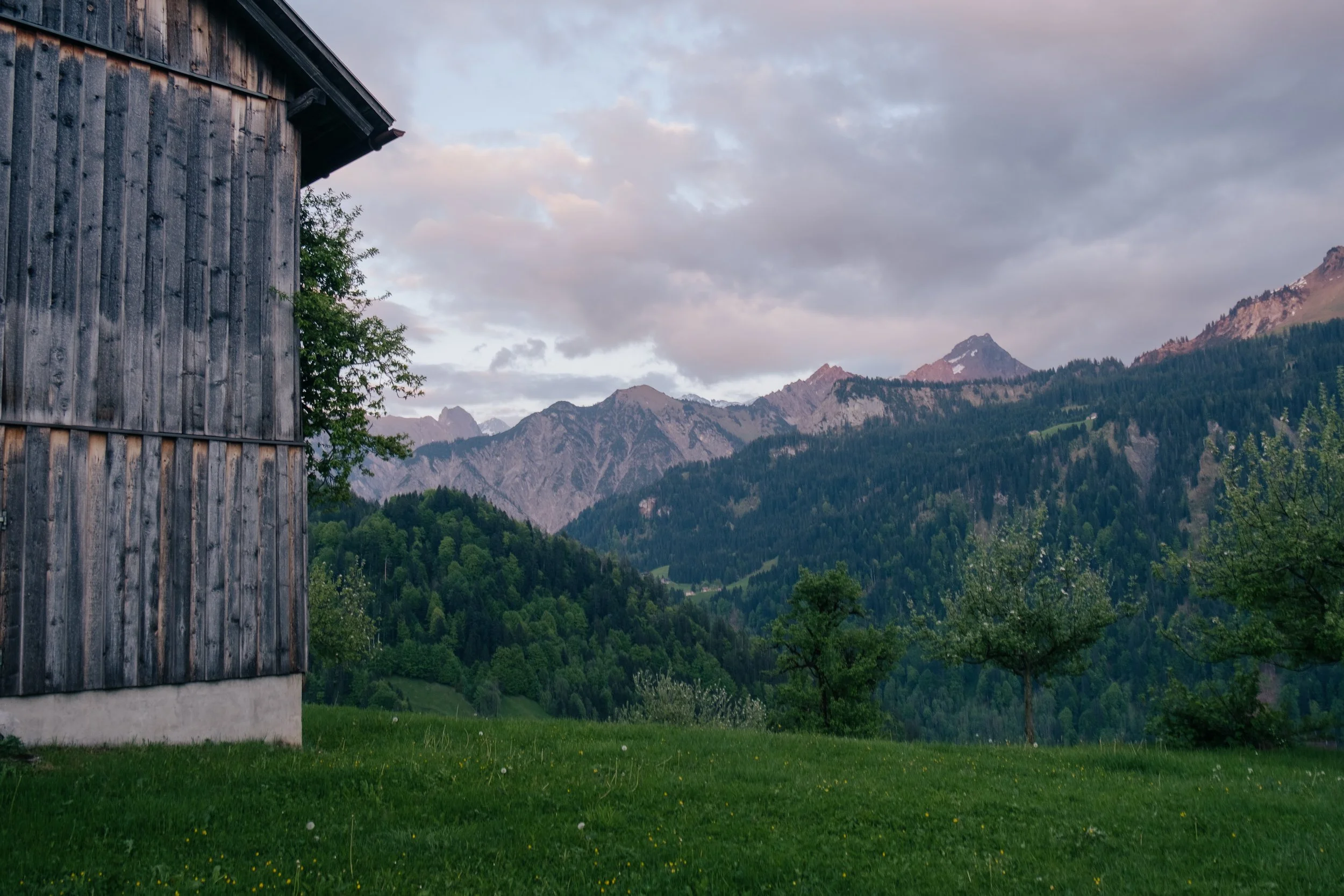Cabinski-Elaine.Fehrenbach-112.jpg