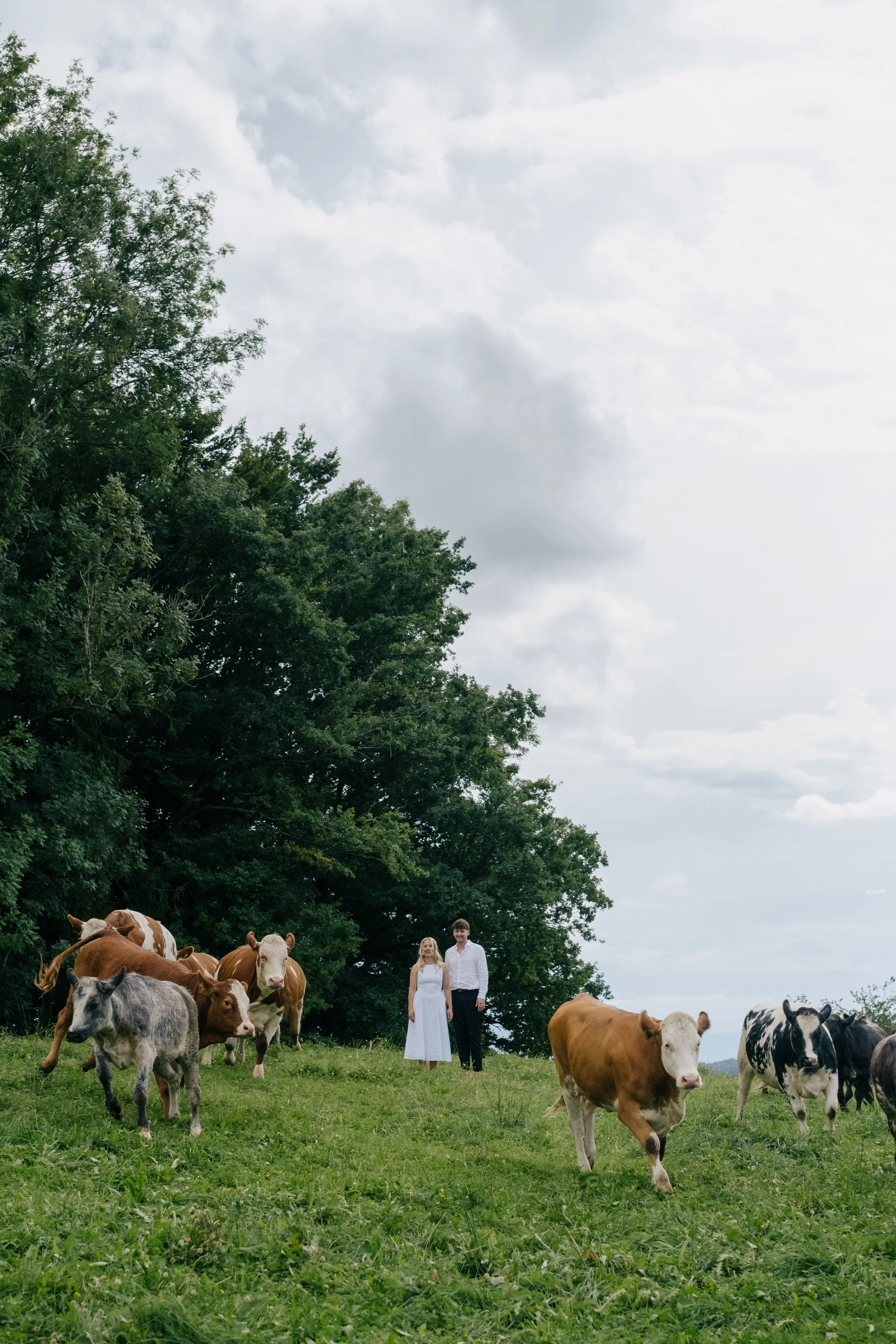 hochzeit-281.jpg
